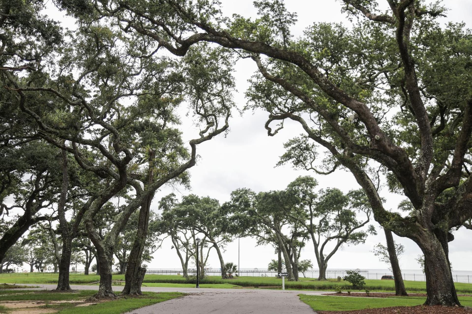 Centennial Plaza Resort Gulfport gallery photo in Gulfport, MS — image 37