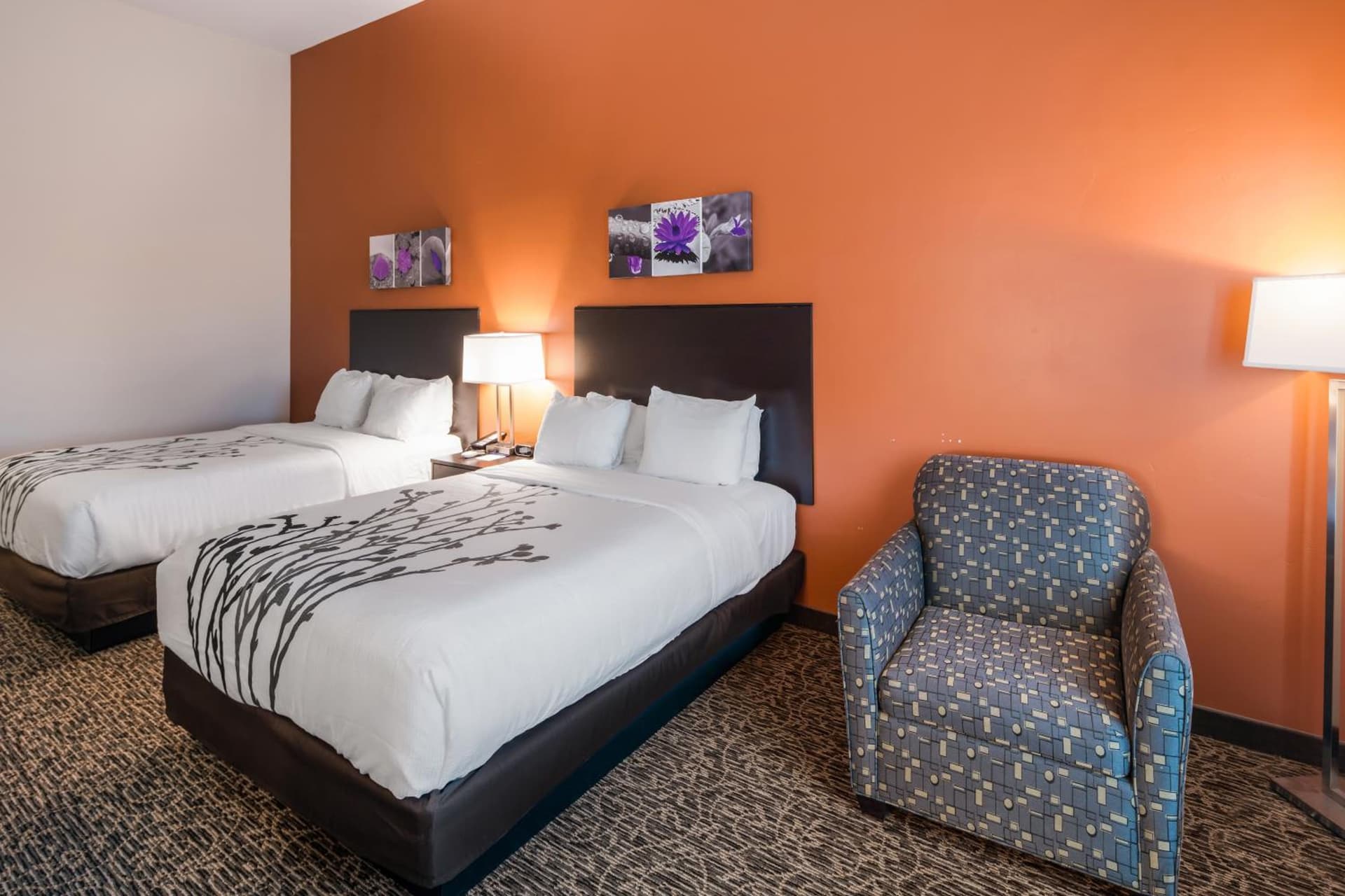 Sleep Inn & Suites Hurricane Zion Park Area gallery photo in Hurricane, UT — image 20