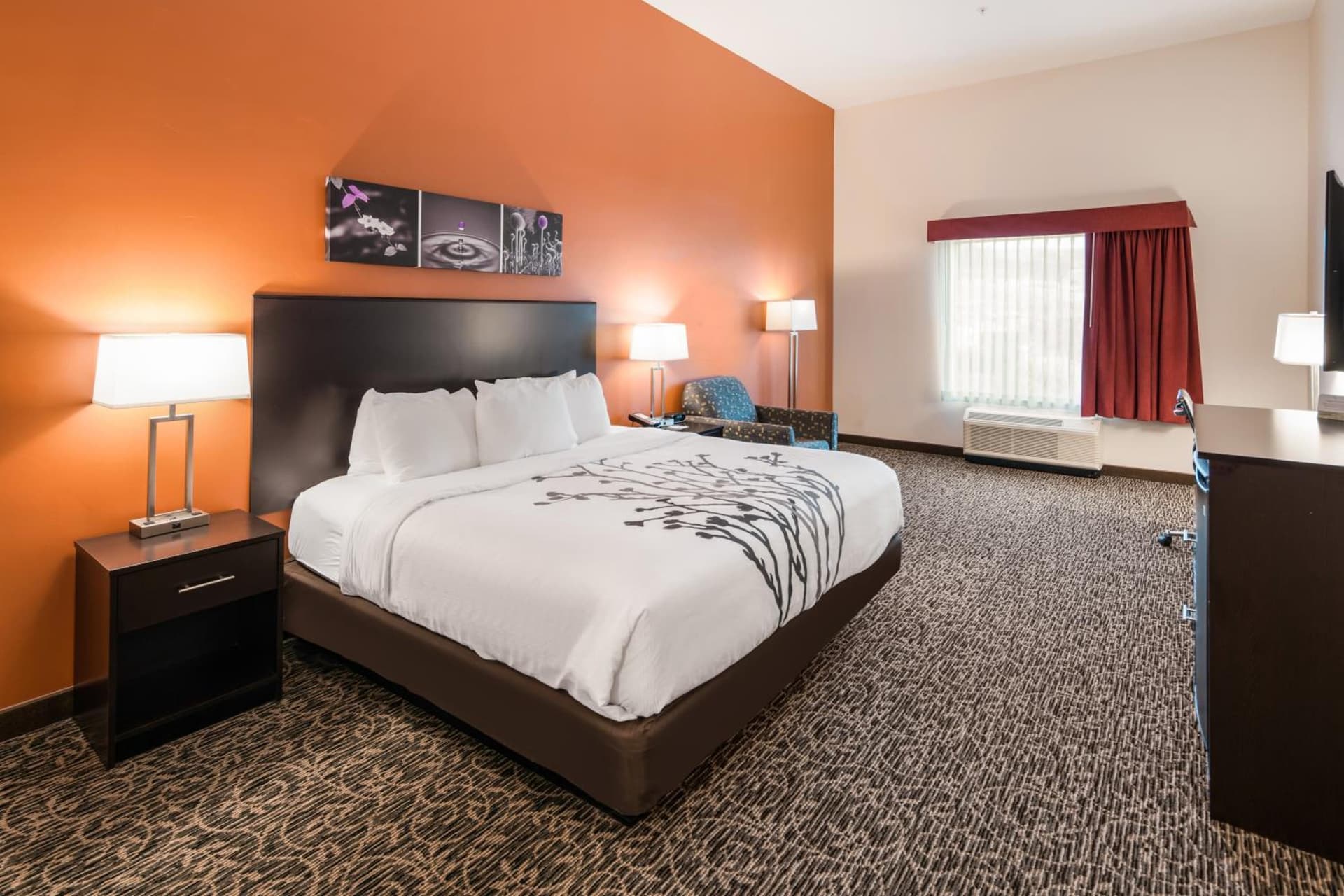 Sleep Inn & Suites Hurricane Zion Park Area gallery photo in Hurricane, UT — image 41