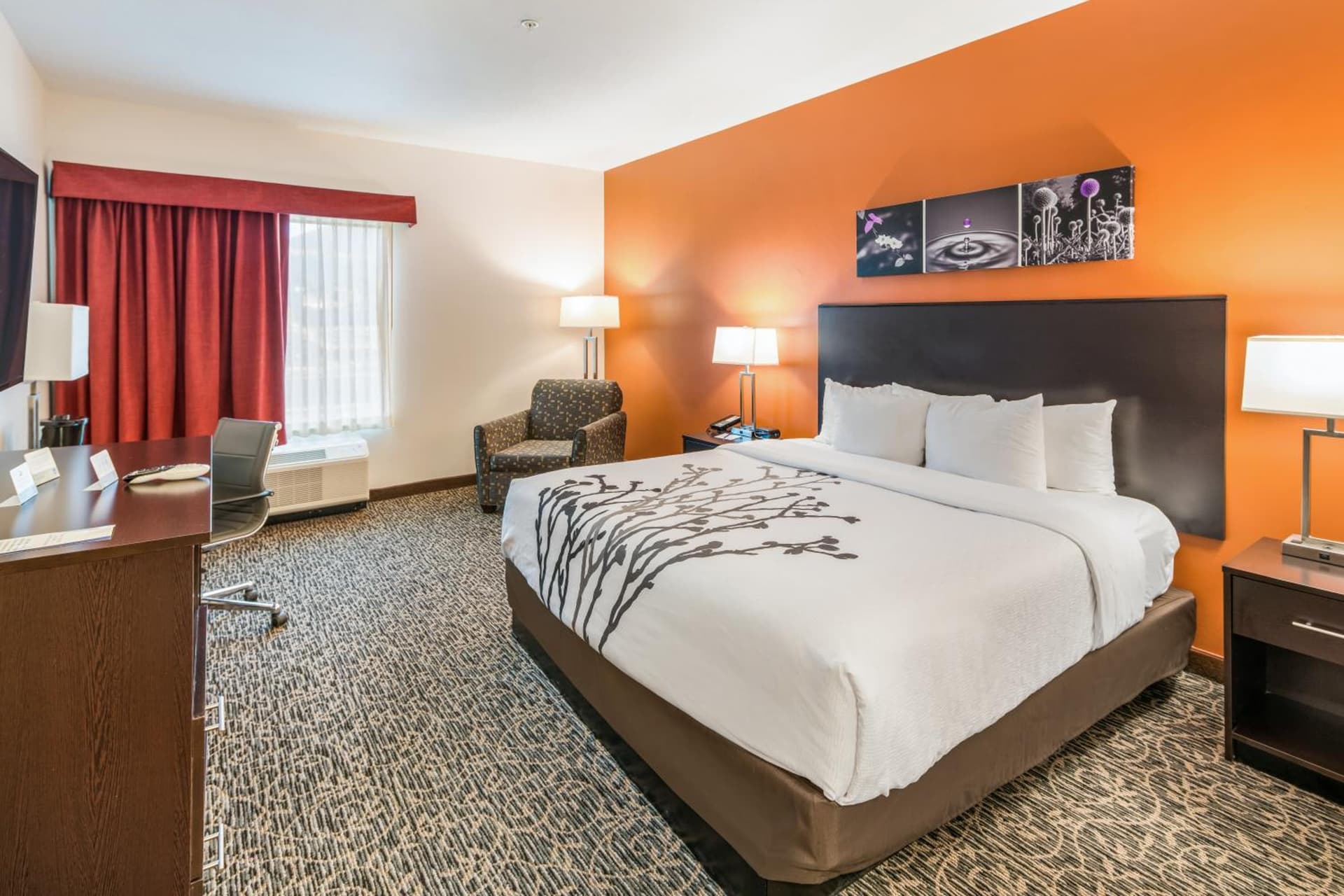 Sleep Inn & Suites Hurricane Zion Park Area gallery photo in Hurricane, UT — image 61