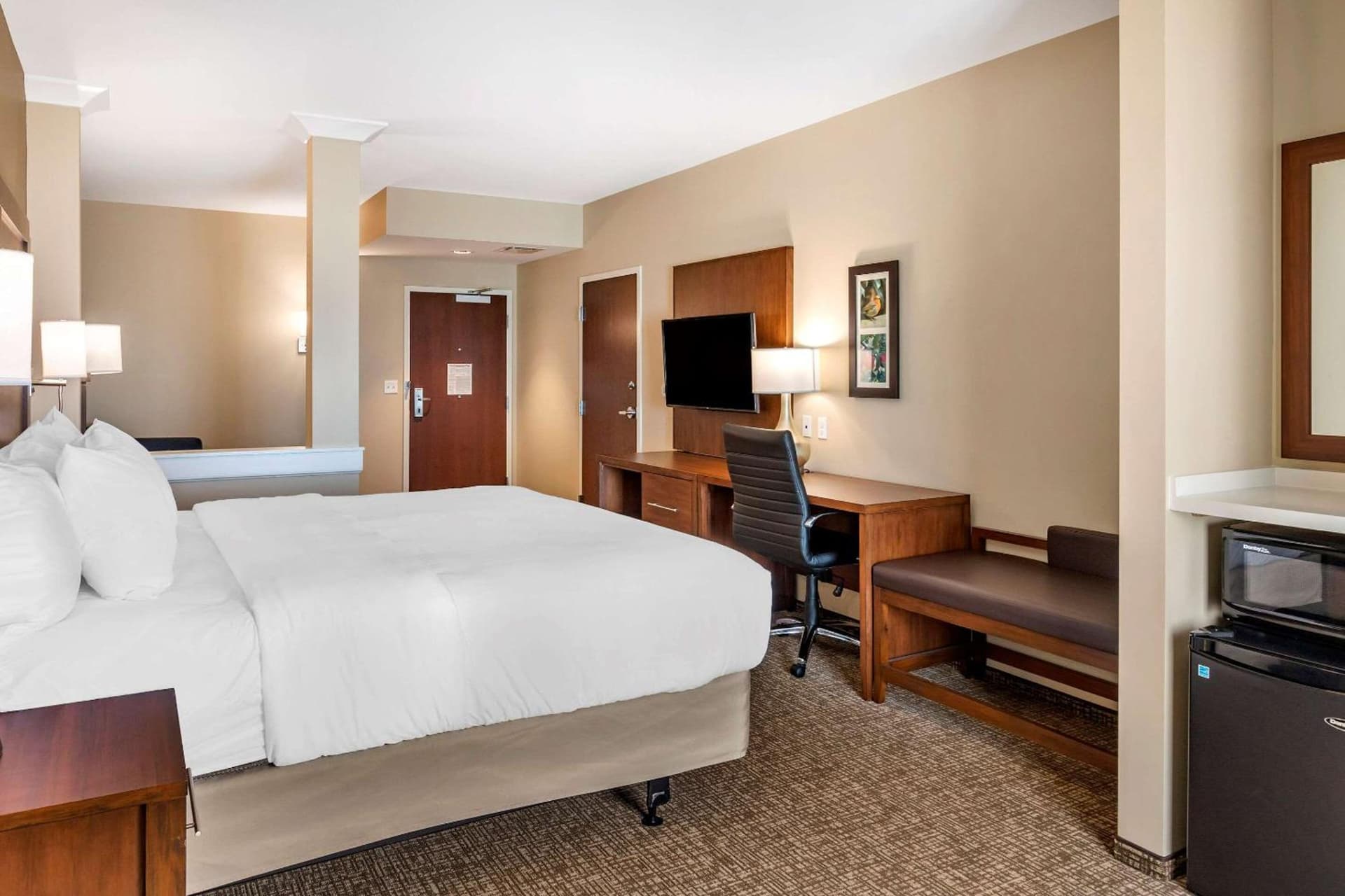 Comfort Inn & Suites Clarkston Pine Knob Area gallery photo in Clarkston — image 39