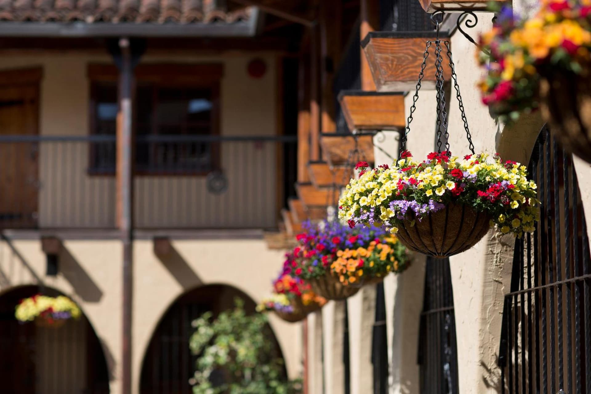 Rancho Caymus Inn gallery photo in Rutherford, CA — image 14