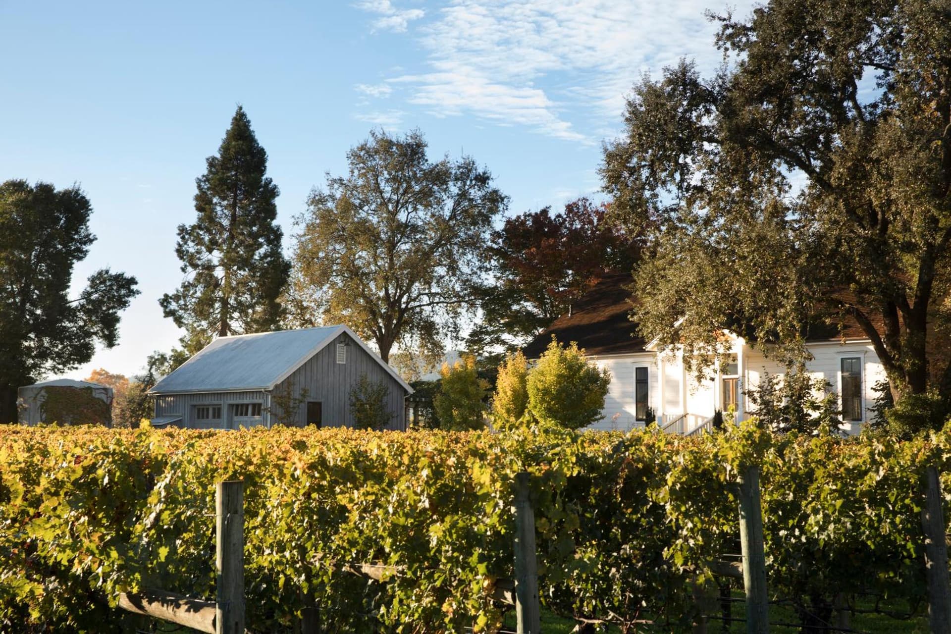 Rancho Caymus Inn gallery photo in Rutherford, CA — image 18