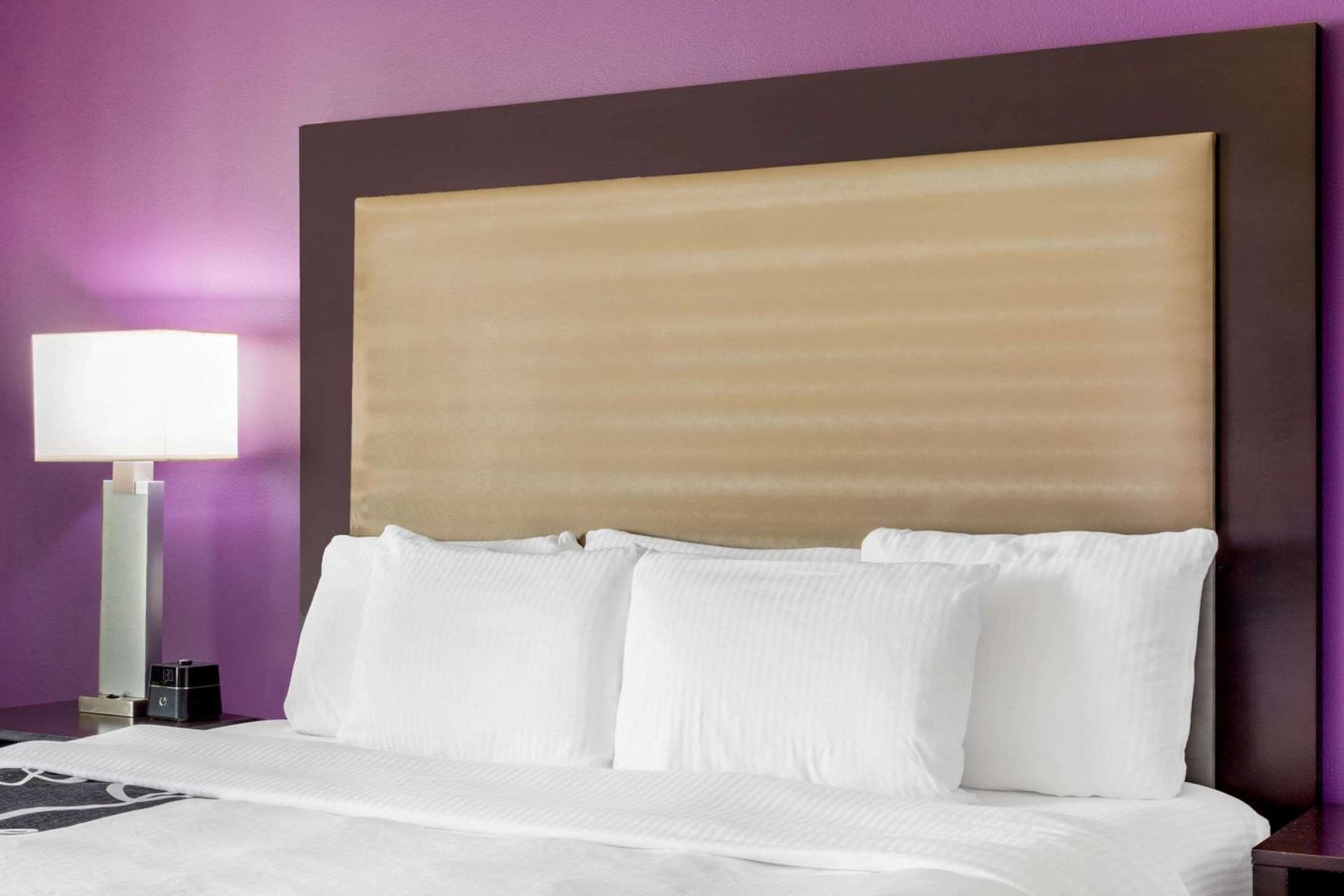 La Quinta by Wyndham McAllen Convention Center gallery photo in McAllen, TX — image 5