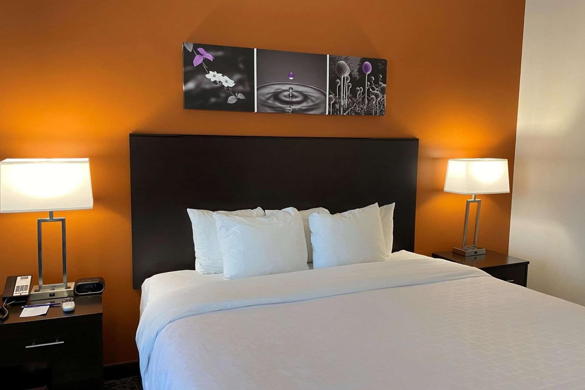 Sleep Inn & Suites Hurricane Zion Park Area gallery photo in Hurricane, UT — image 54