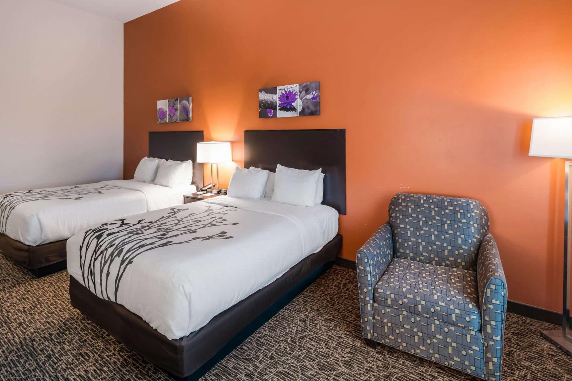 Sleep Inn & Suites Hurricane Zion Park Area gallery photo in Hurricane, UT — image 48
