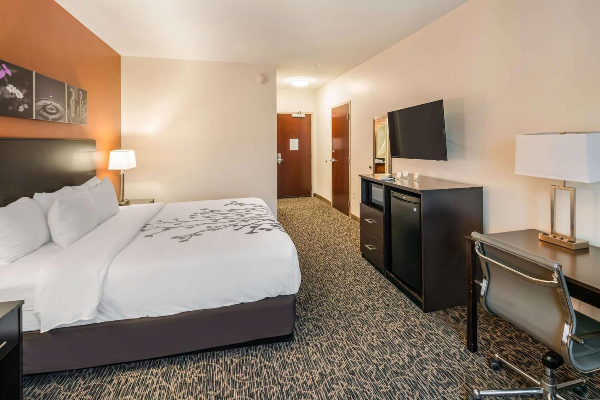 Sleep Inn & Suites Hurricane Zion Park Area gallery photo in Hurricane, UT — image 82