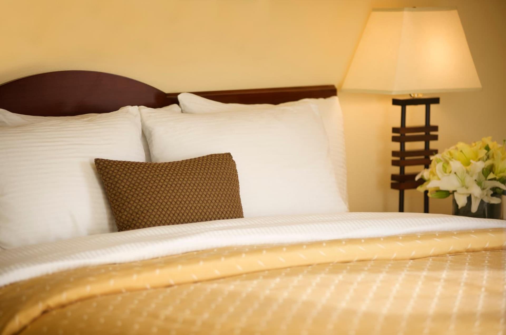 Larkspur Landing Extended Stay Suites Folsom gallery photo in Folsom, CA — image 10
