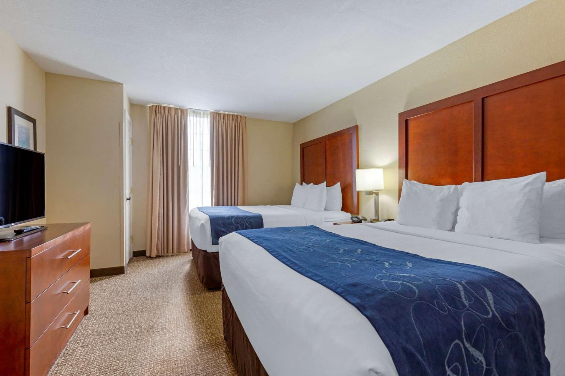 Comfort Suites Fredericksburg South gallery photo in Fredericksburg, VA — image 13
