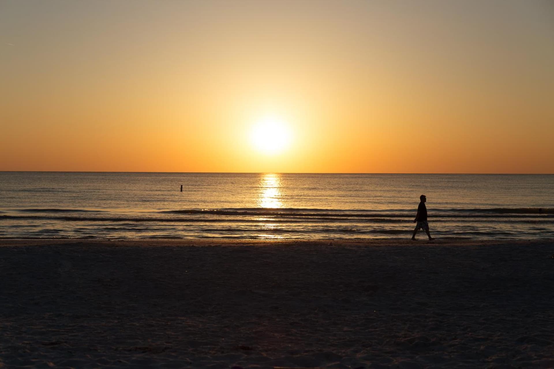 The Avalon Club gallery photo in Clearwater Beach, FL — image 56