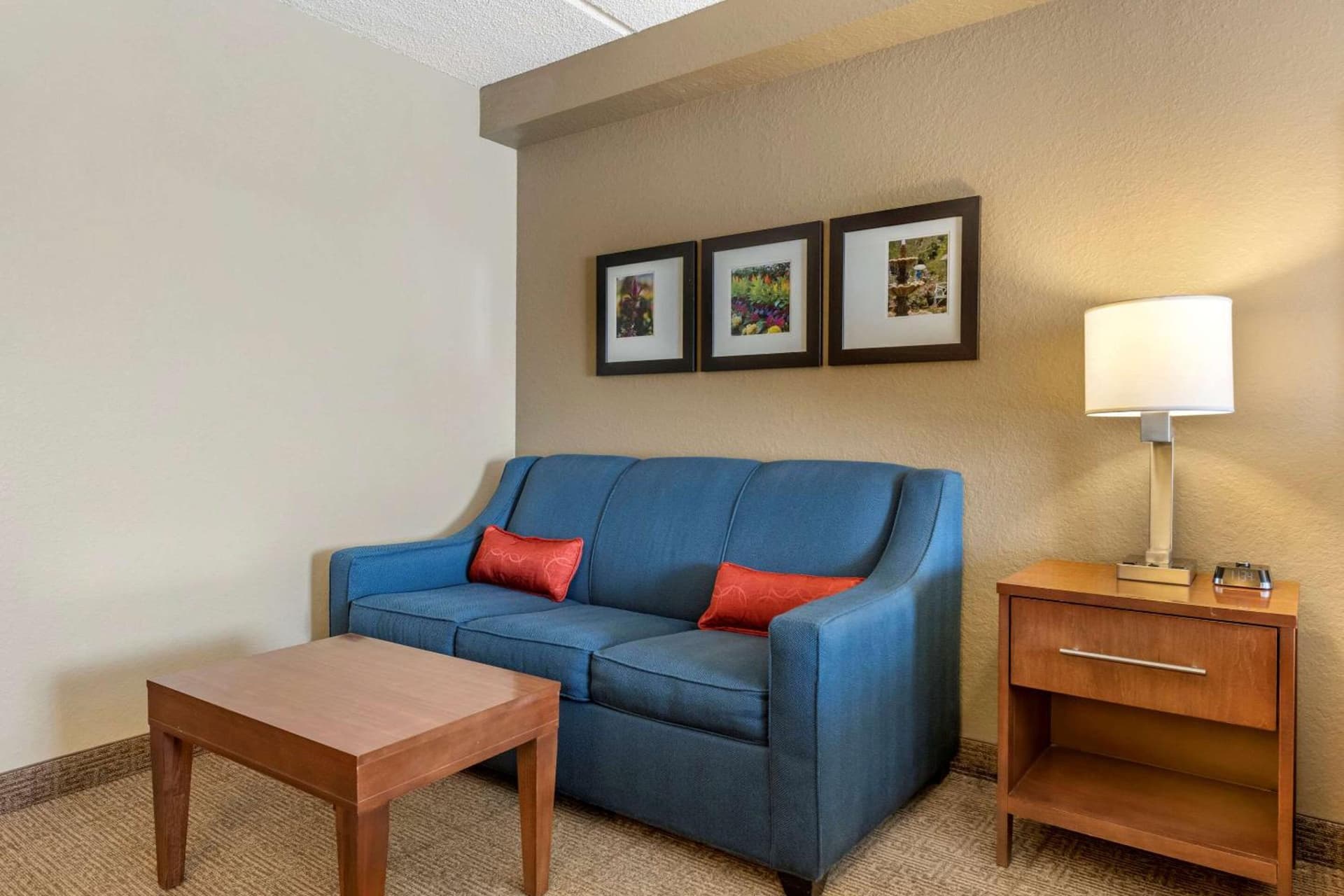 Comfort Inn & Suites Orlando North gallery photo in Sanford, FL — image 48