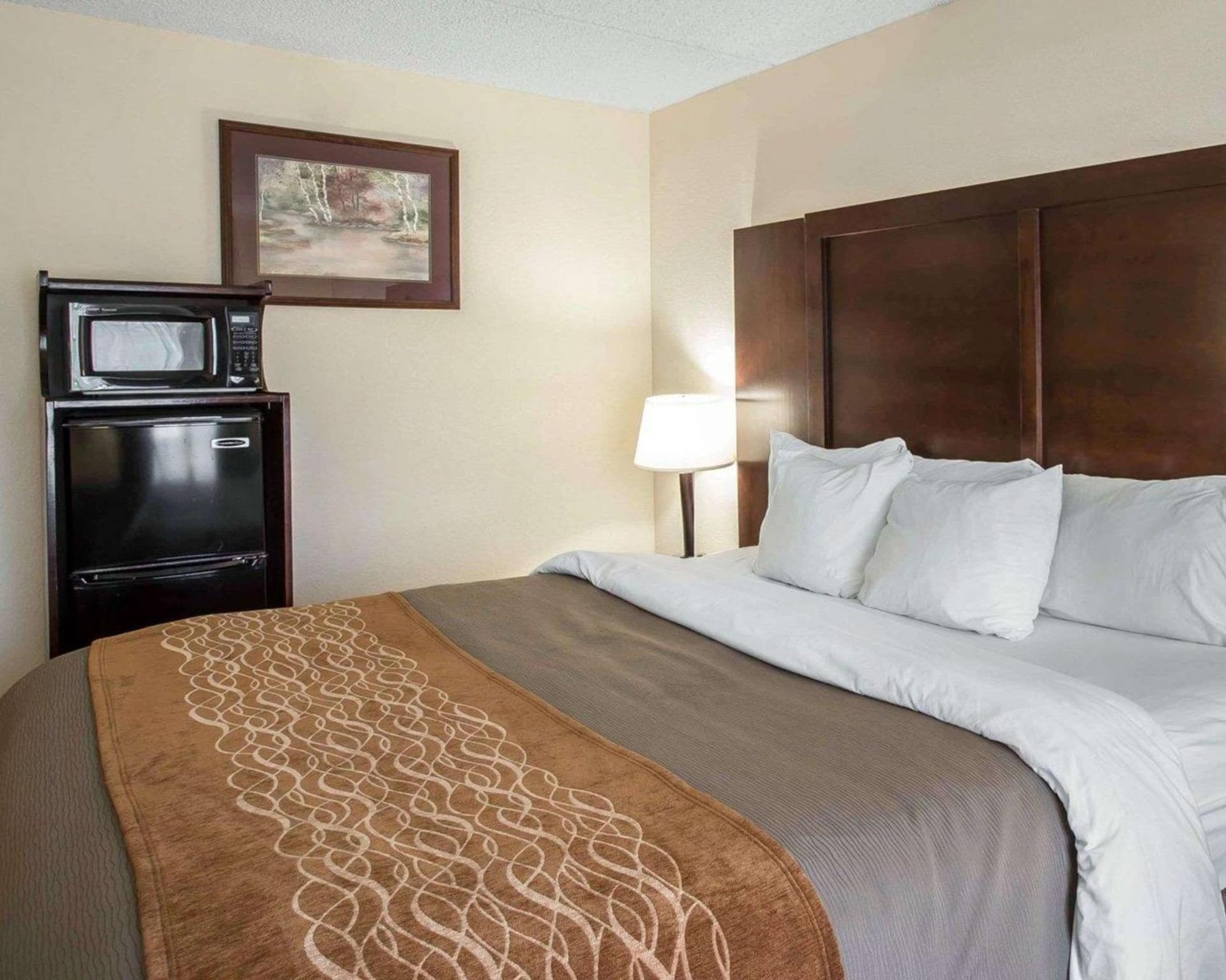 Comfort Inn & Suites Spartanburg North gallery photo in Spartanburg, SC — image 27