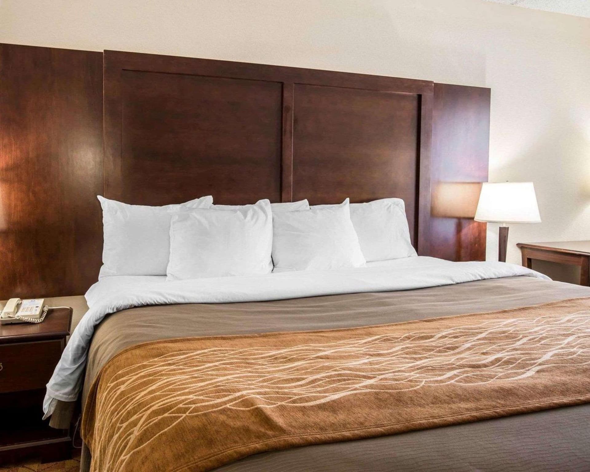 Comfort Inn & Suites Spartanburg North gallery photo in Spartanburg, SC — image 9