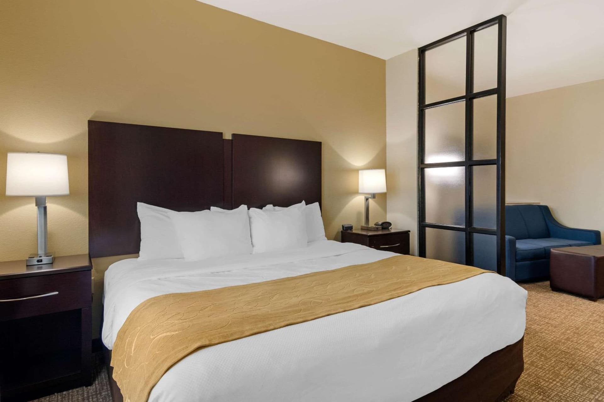 Comfort Suites Byron Warner Robins gallery photo in Byron, GA — image 5