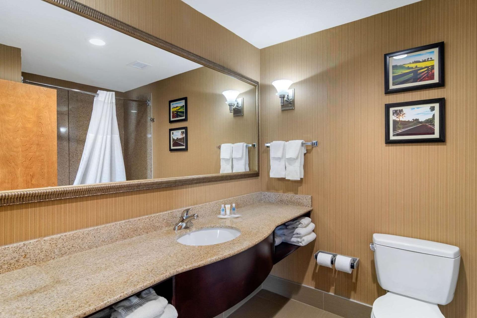Comfort Suites Byron Warner Robins gallery photo in Byron, GA — image 18