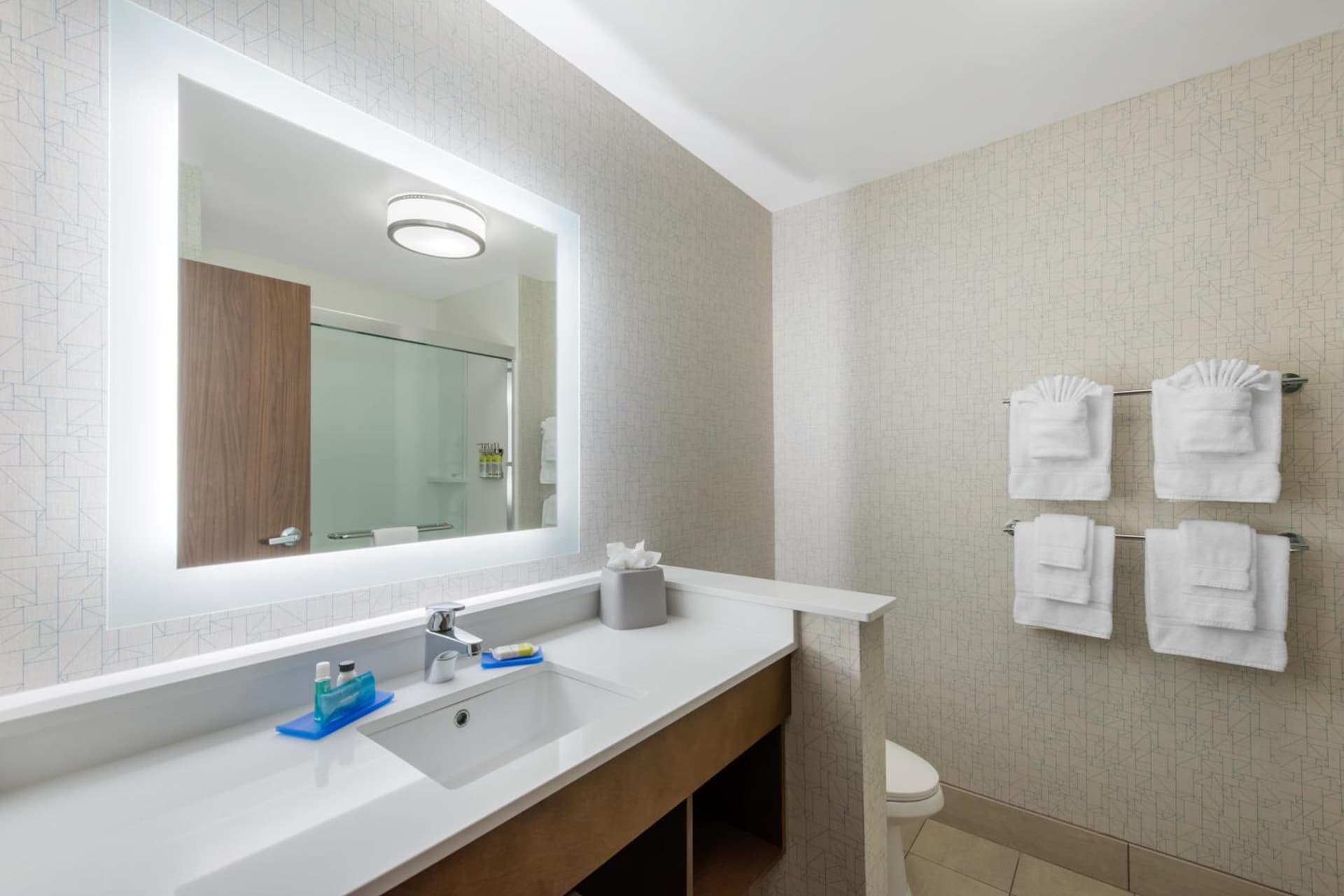 Holiday Inn Express & Suites Alachua - Gainesville Area by IHG gallery photo in Alachua, FL — image 14
