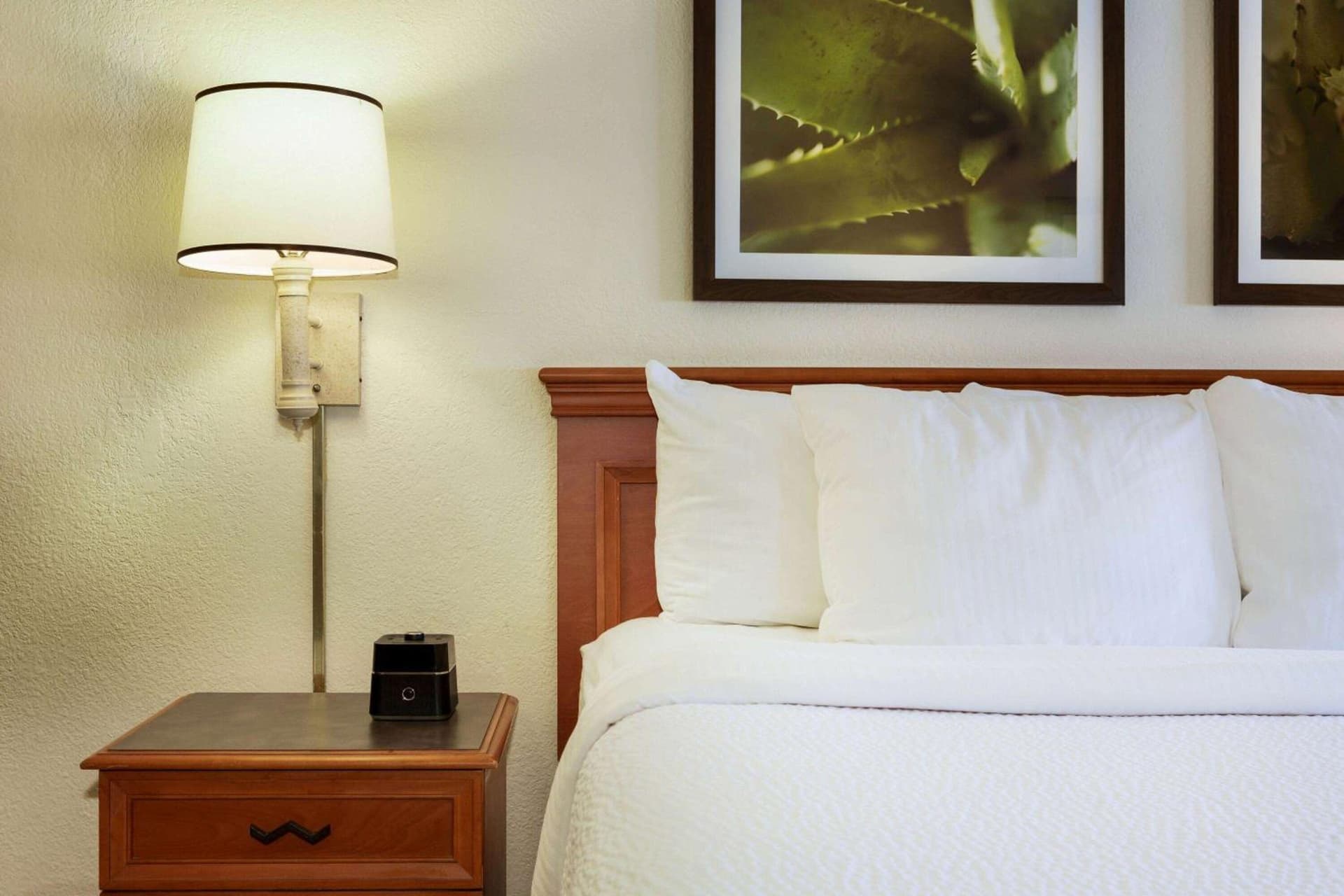 La Quinta Inn by Wyndham Austin Capitol / Downtown gallery photo in Austin, TX — image 10