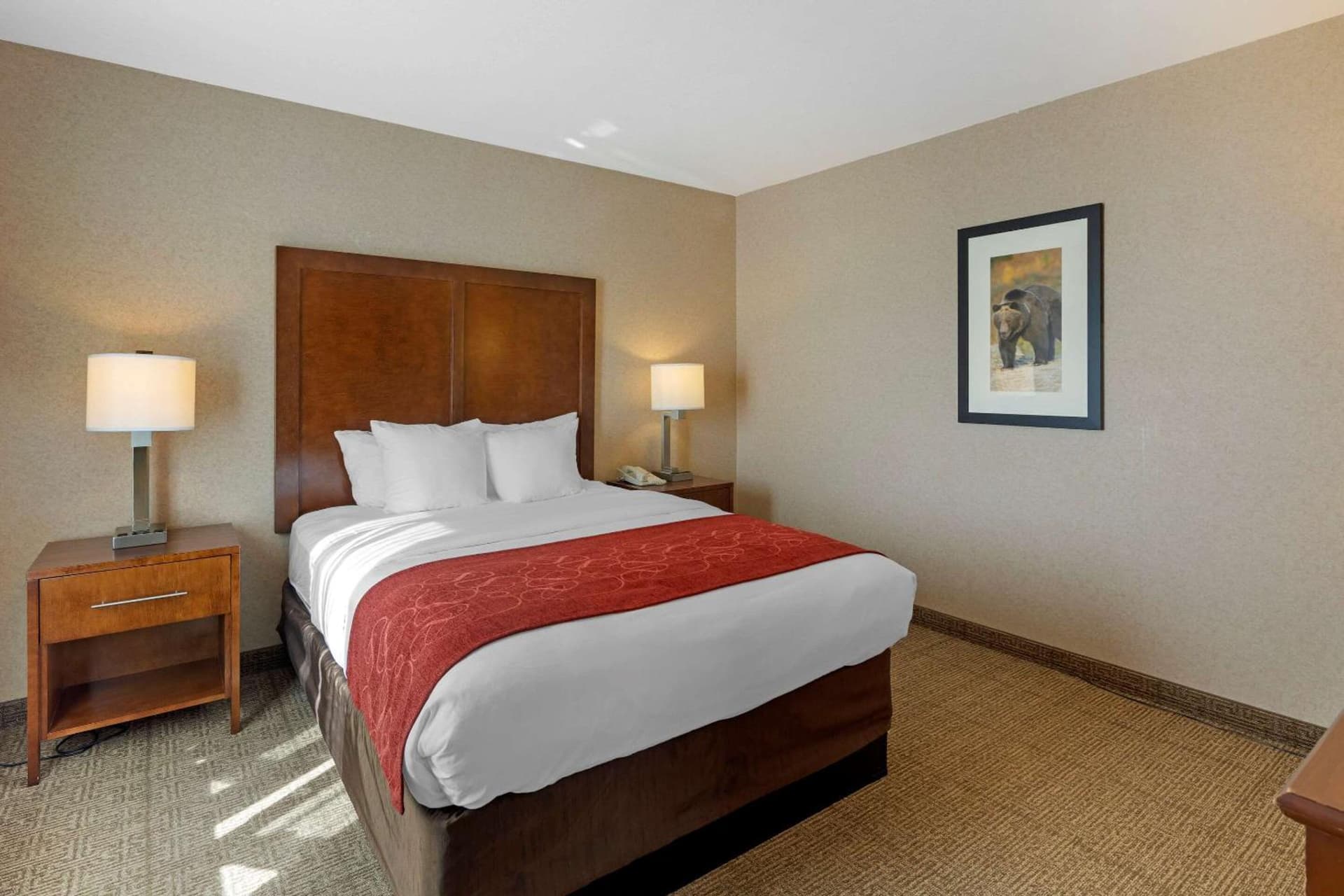 Comfort Suites Anchorage International Airport gallery photo in Anchorage, AK — image 29