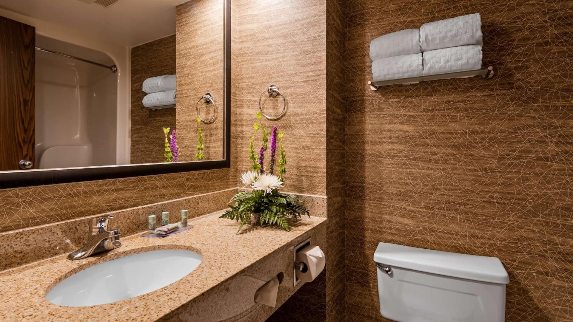 Best Western Detroit Livonia gallery photo in Livonia, MI — image 34
