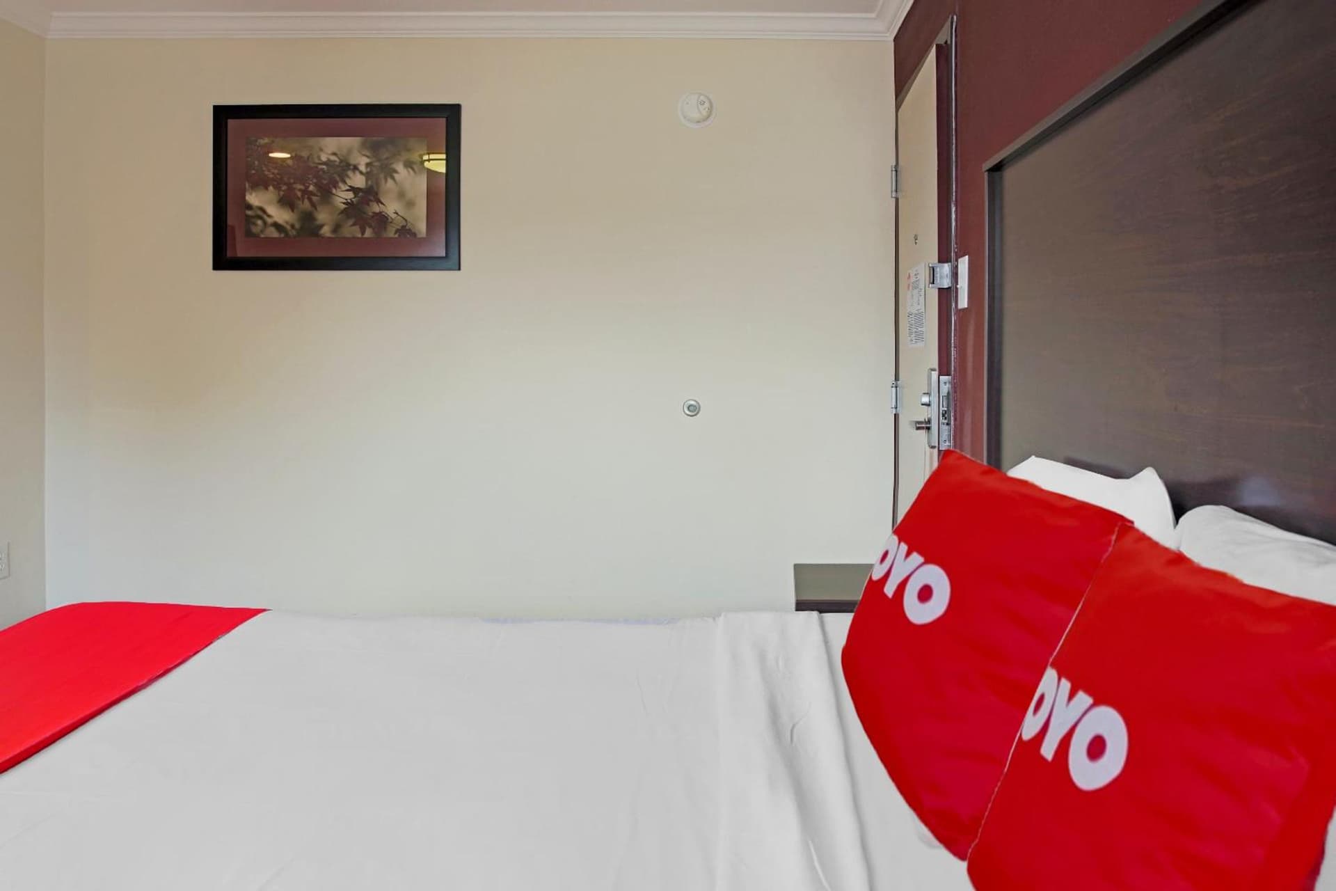 OYO Hotel McAllen Airport South gallery photo in McAllen, TX — image 19