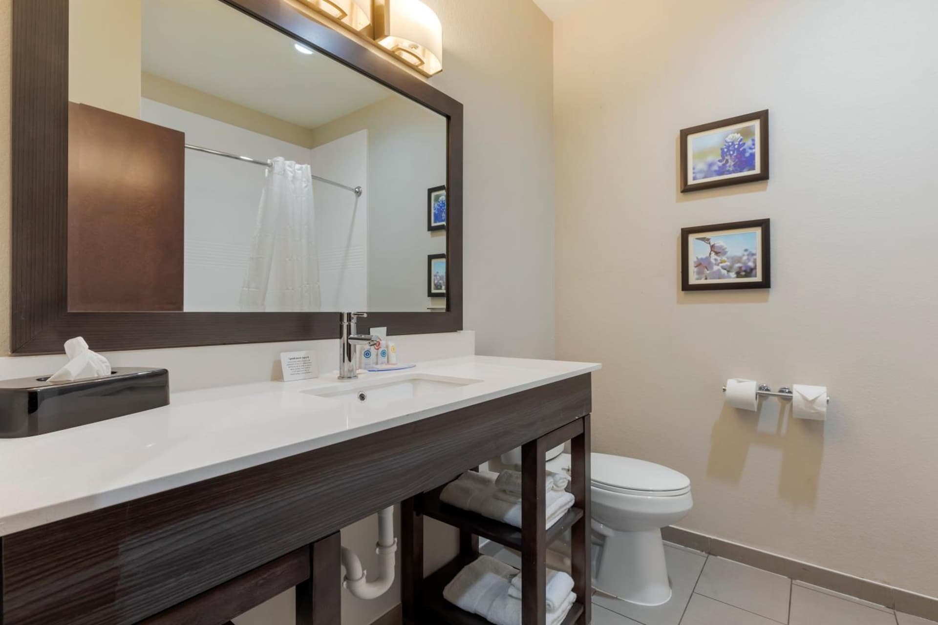 Comfort Inn & Suites Balch Springs - SE Dallas gallery photo in Balch Springs, TX — image 10