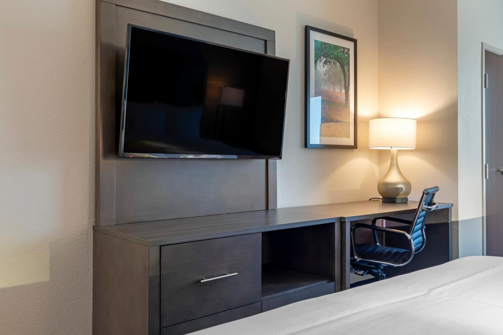 Comfort Inn & Suites Balch Springs - SE Dallas gallery photo in Balch Springs, TX — image 29