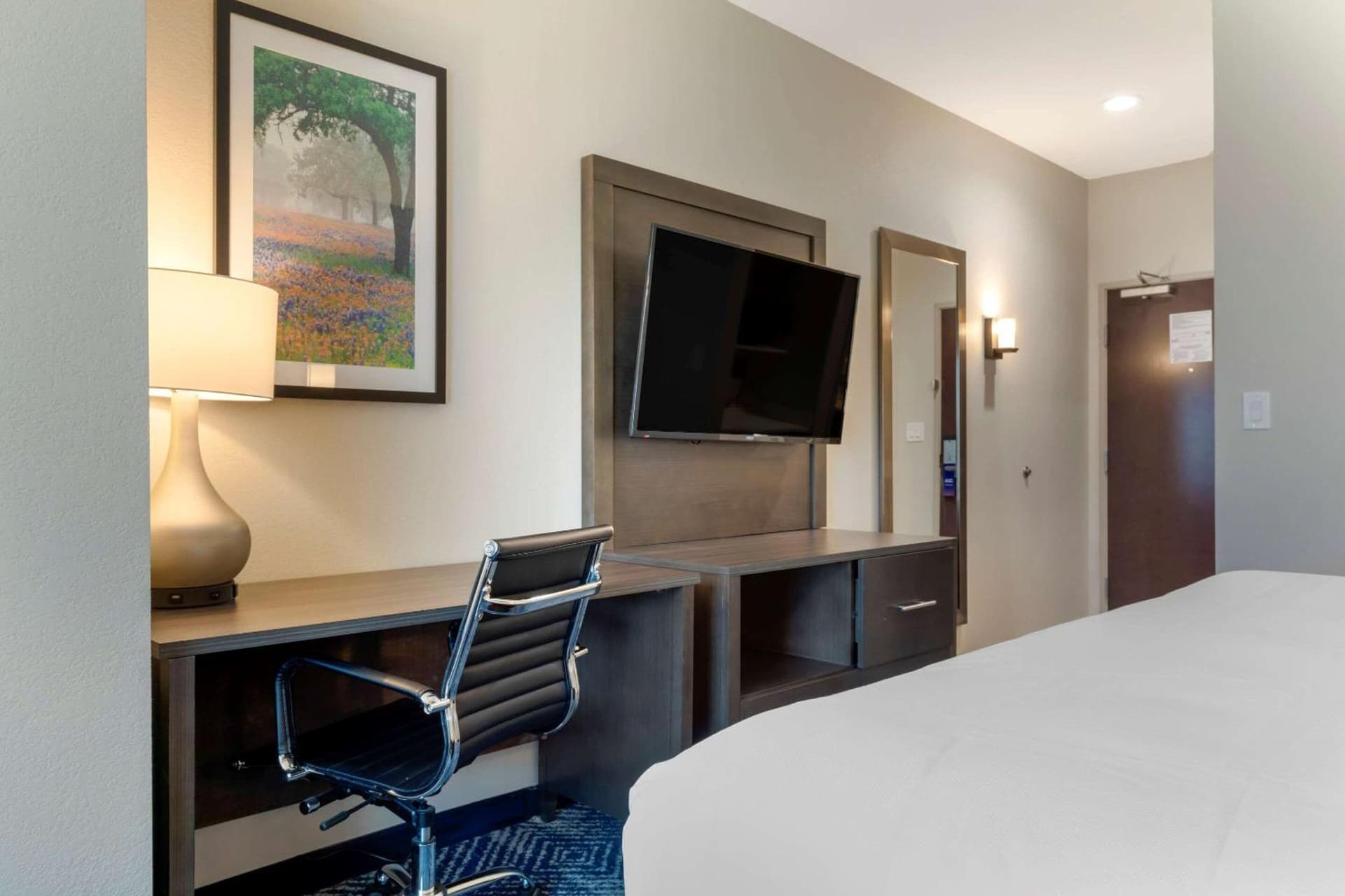 Comfort Inn & Suites Balch Springs - SE Dallas gallery photo in Balch Springs, TX — image 13