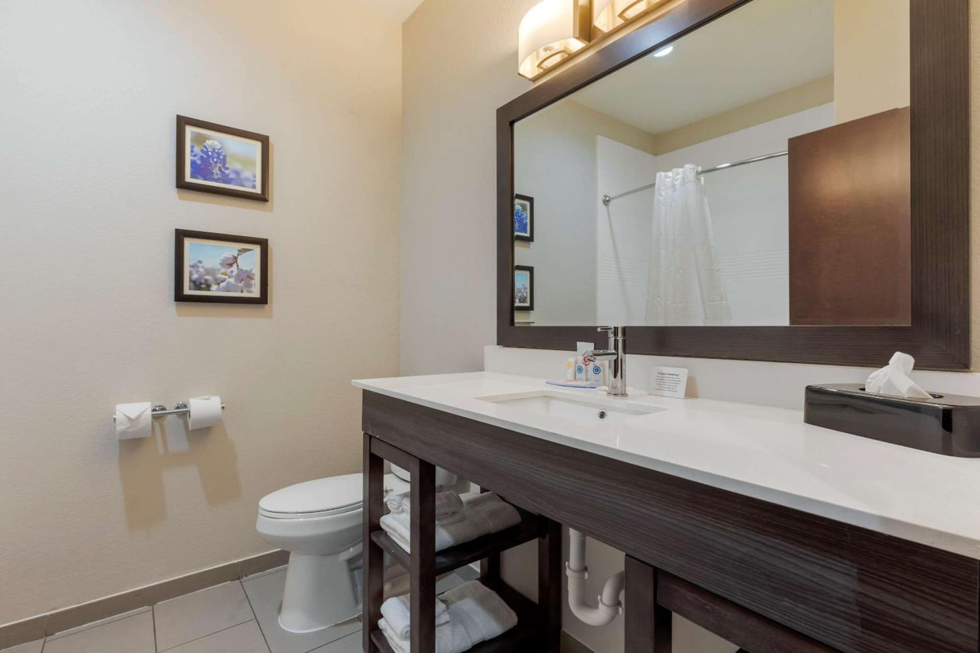 Comfort Inn & Suites Balch Springs - SE Dallas gallery photo in Balch Springs, TX — image 26