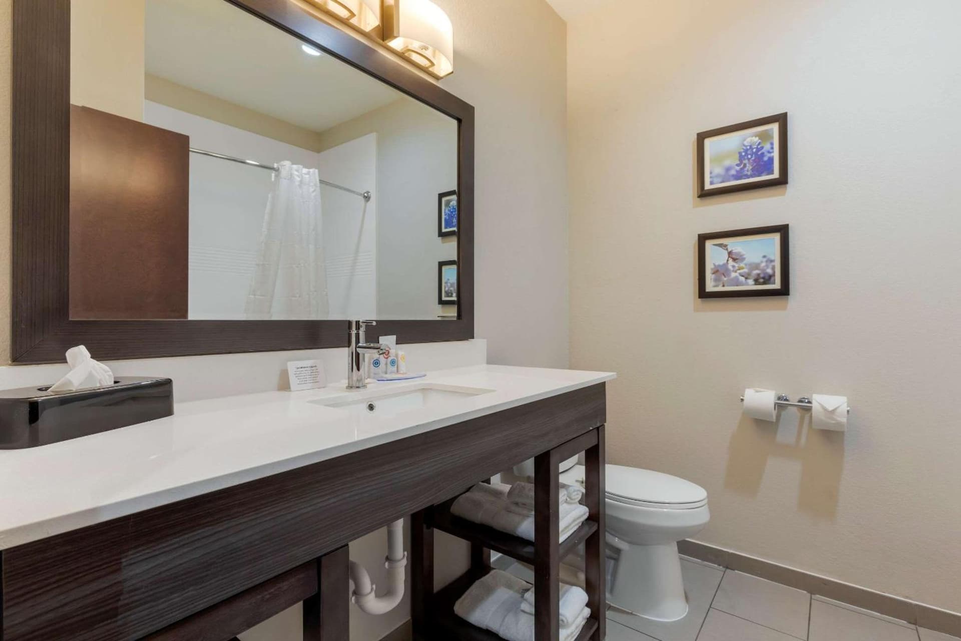 Comfort Inn & Suites Balch Springs - SE Dallas gallery photo in Balch Springs, TX — image 36