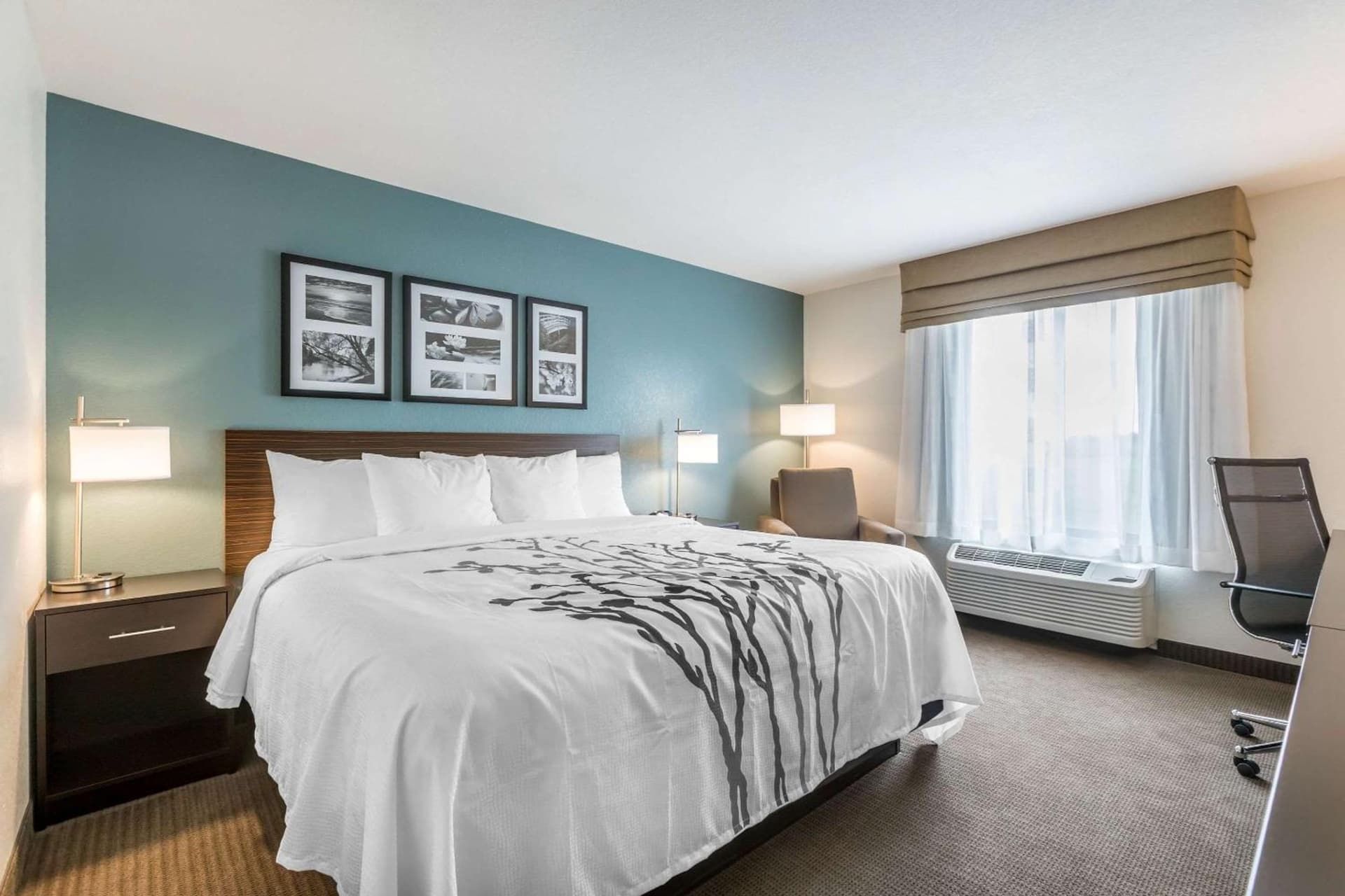 Sleep Inn & Suites West Des Moines near Jordan Creek gallery photo in West Des Moines, IA — image 4