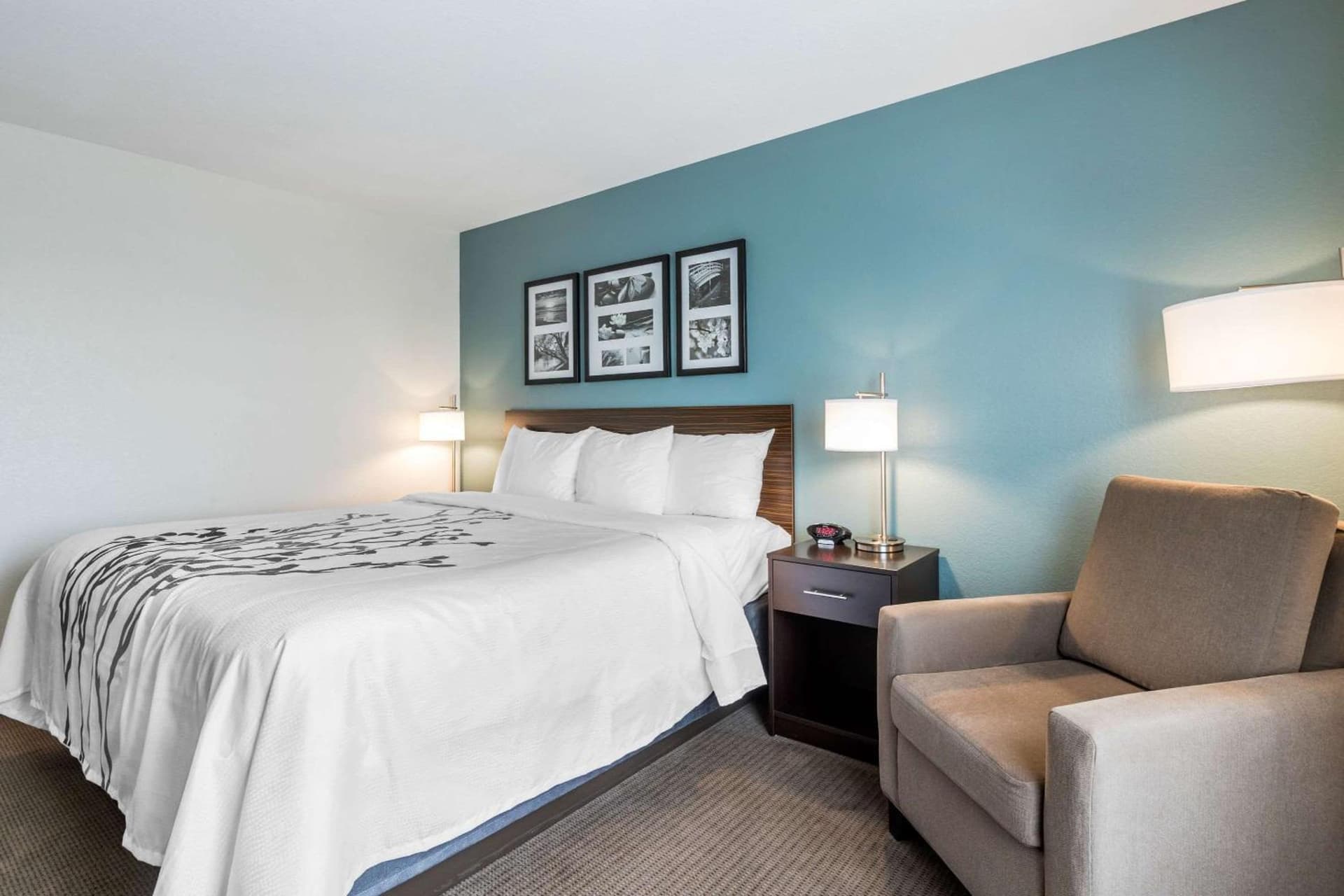 Sleep Inn & Suites West Des Moines near Jordan Creek gallery photo in West Des Moines, IA — image 27