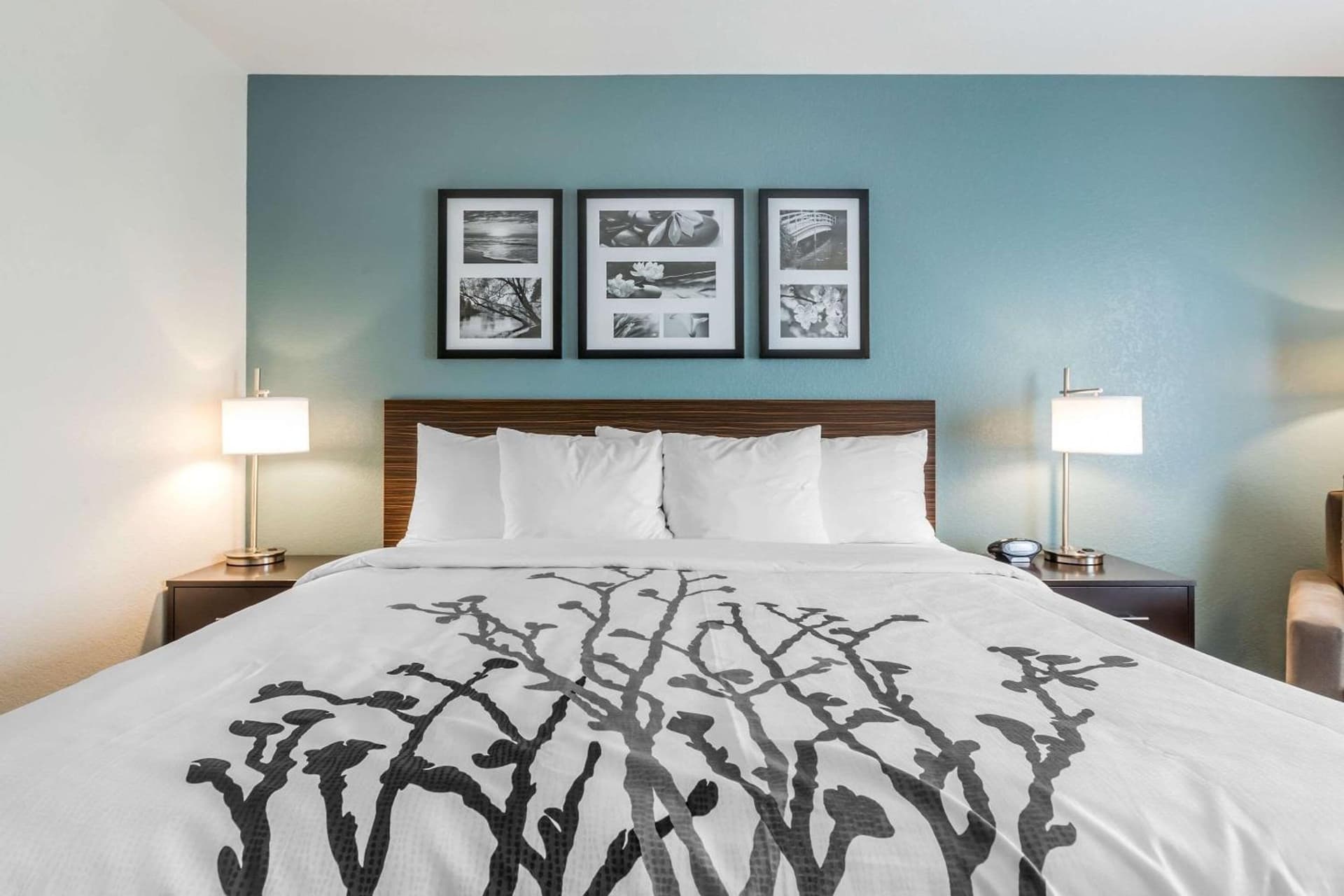 Sleep Inn & Suites West Des Moines near Jordan Creek gallery photo in West Des Moines, IA — image 26