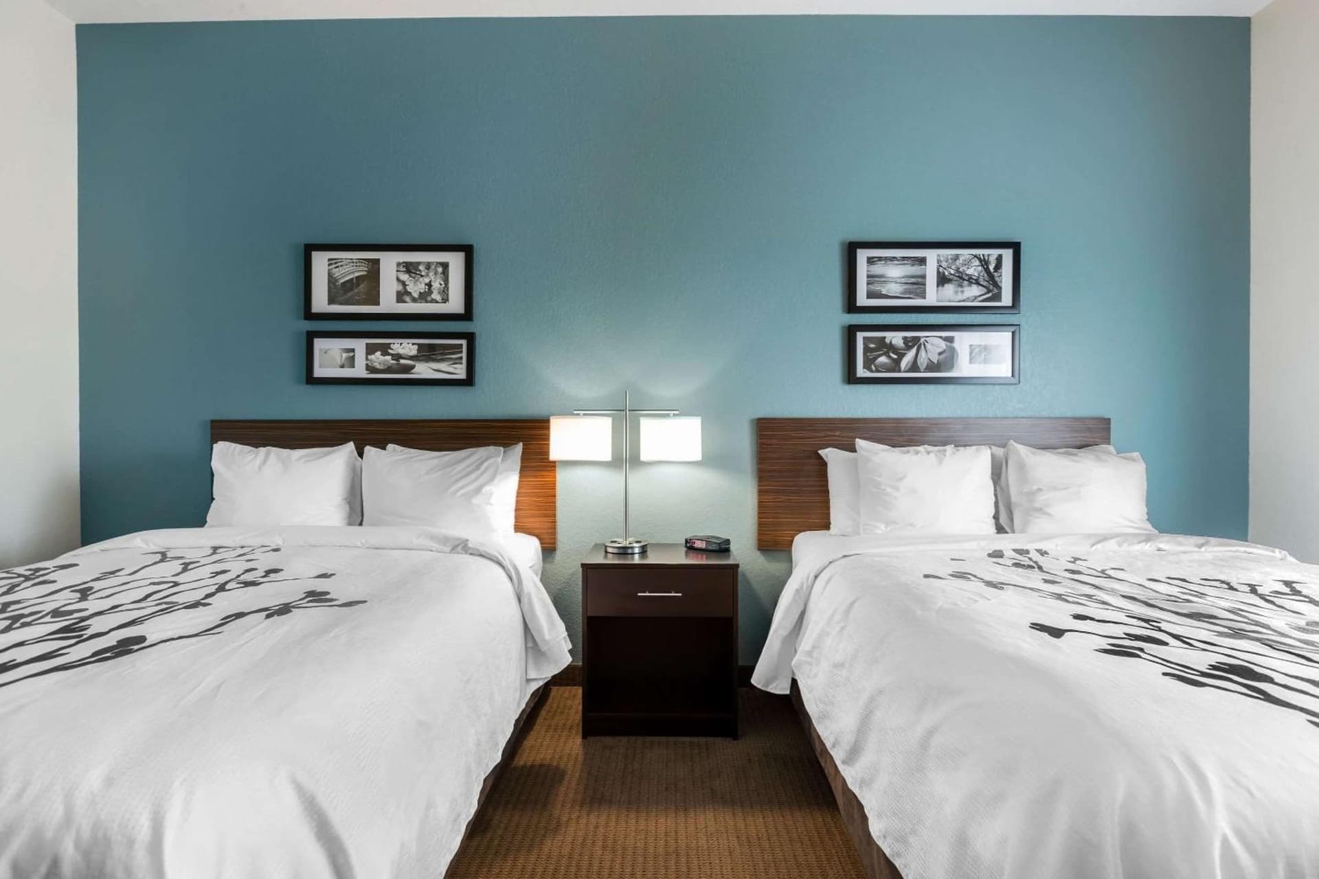 Sleep Inn & Suites West Des Moines near Jordan Creek gallery photo in West Des Moines, IA — image 34