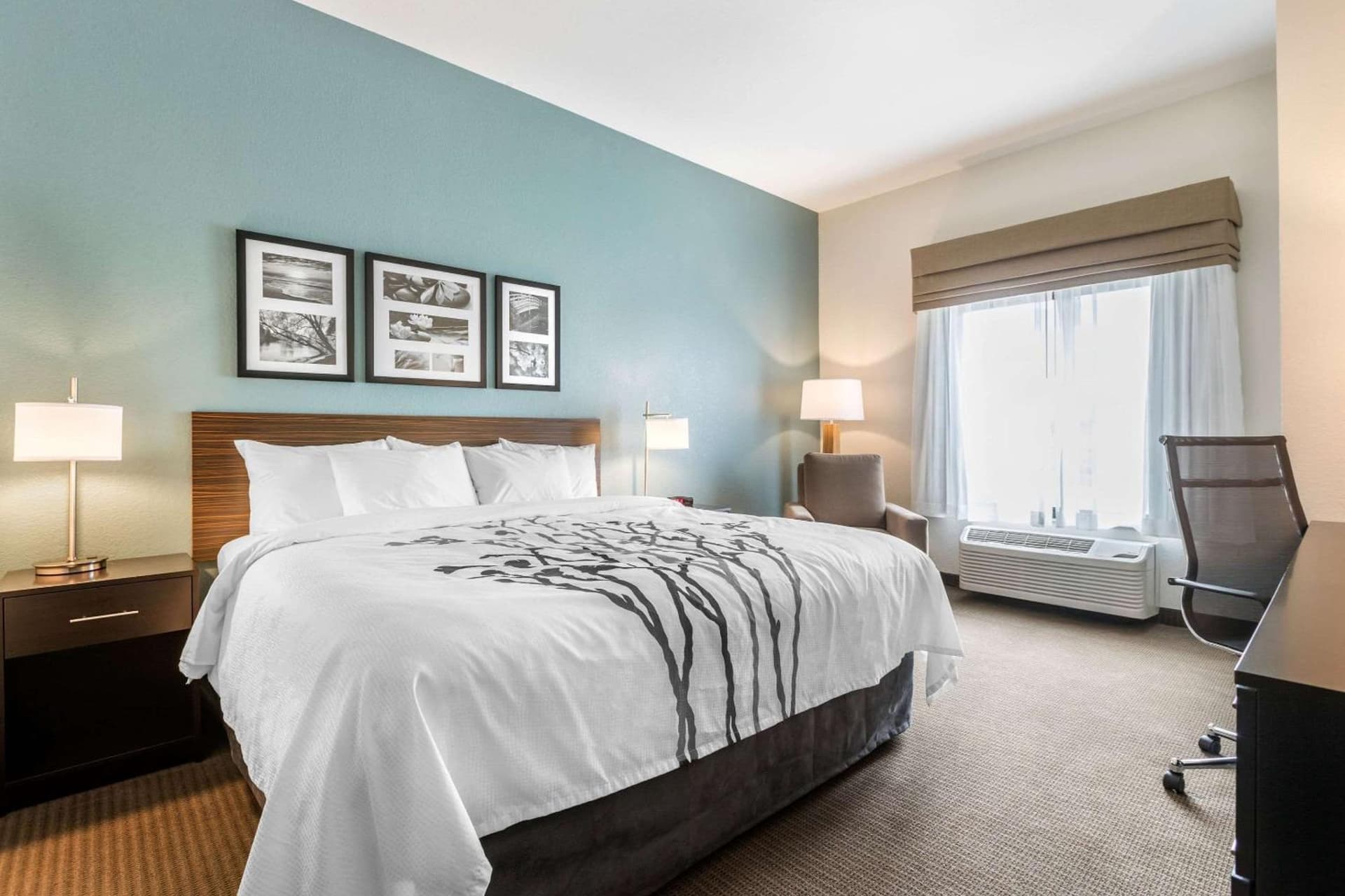 Sleep Inn & Suites West Des Moines near Jordan Creek gallery photo in West Des Moines, IA — image 32