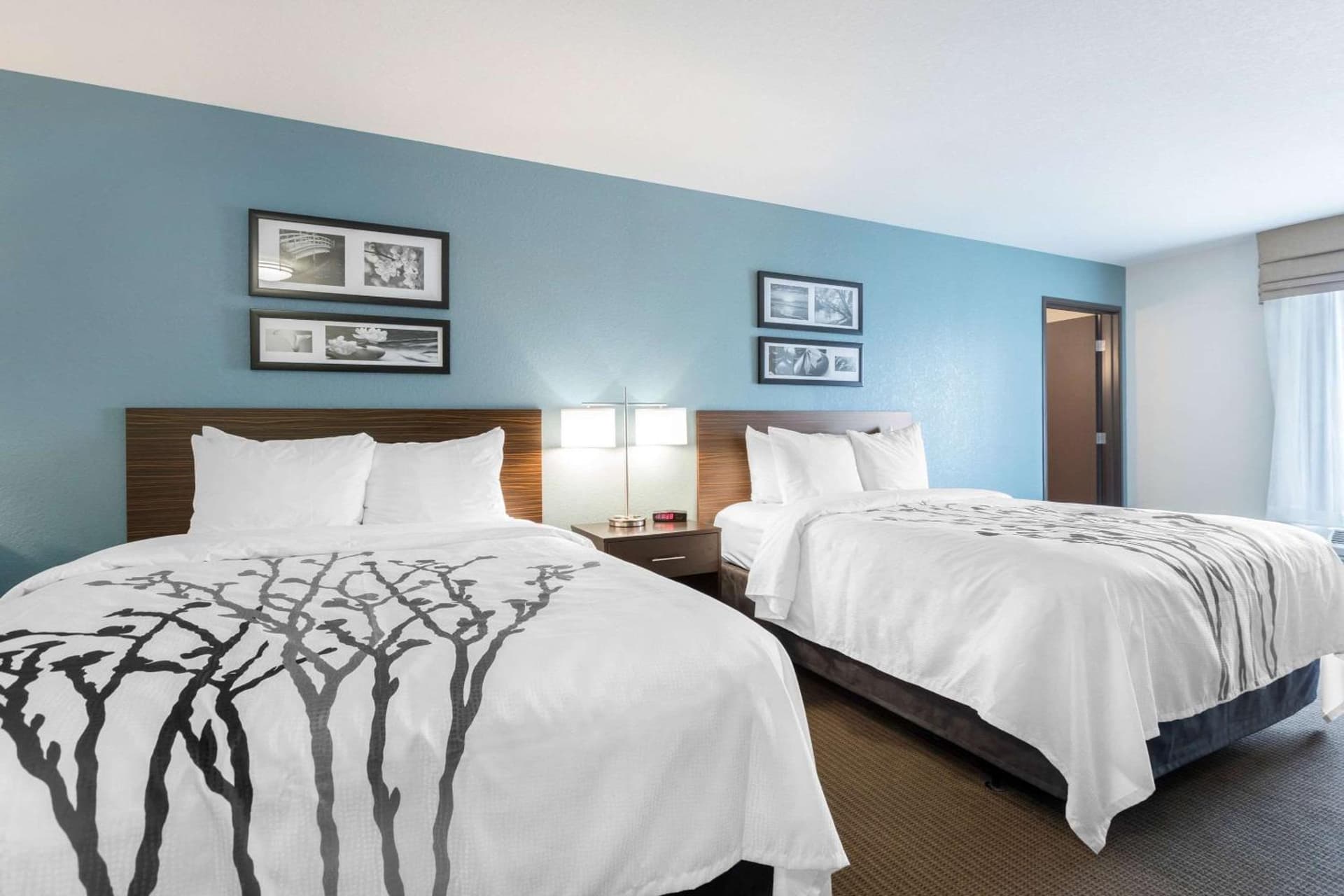 Sleep Inn & Suites West Des Moines near Jordan Creek gallery photo in West Des Moines, IA — image 12