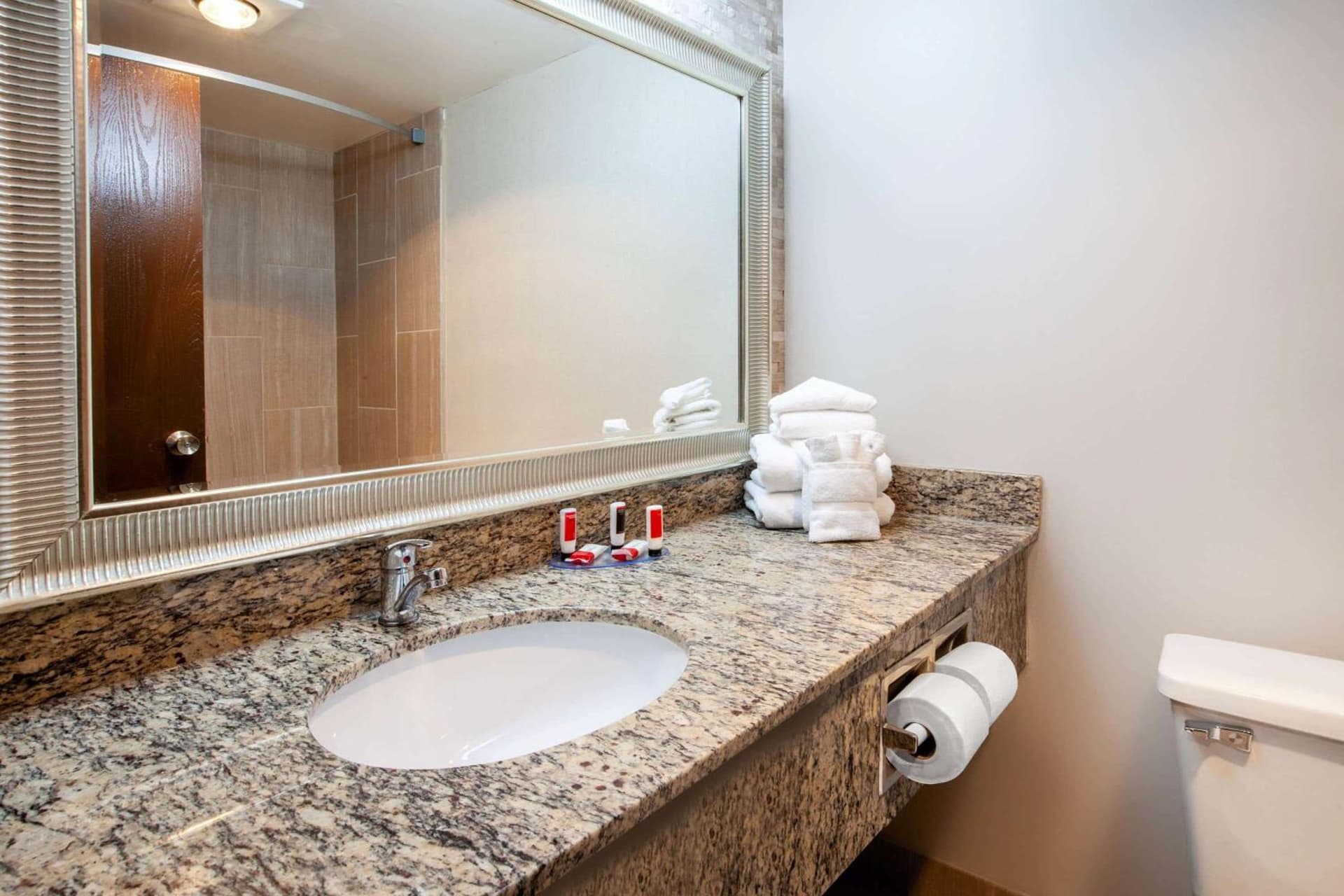 Wingate by Wyndham Detroit Metro Airport gallery photo in Romulus, MI — image 32
