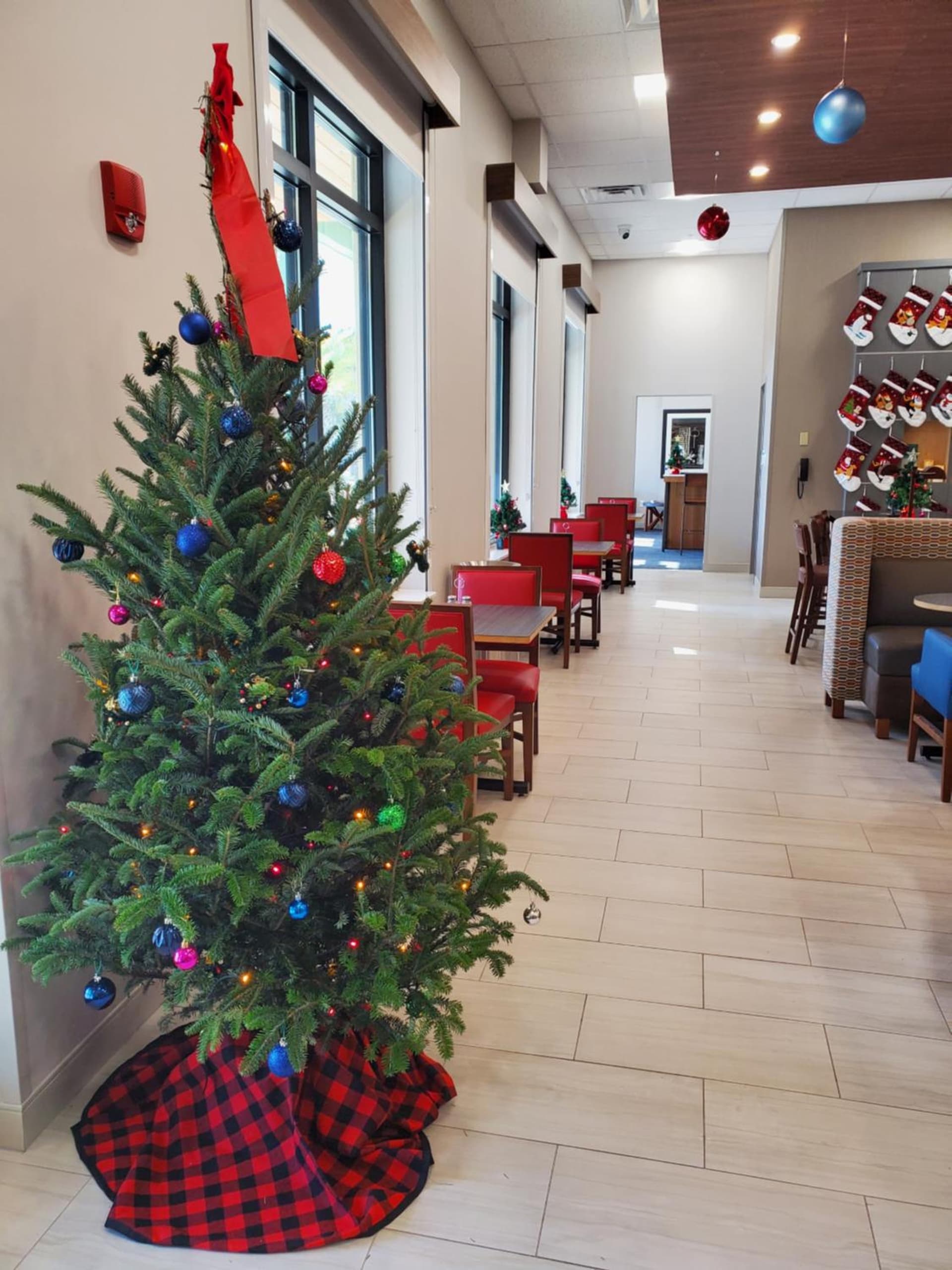 Holiday Inn Express St. Augustine - Vilano Beach by IHG gallery photo in St. Augustine, FL — image 66