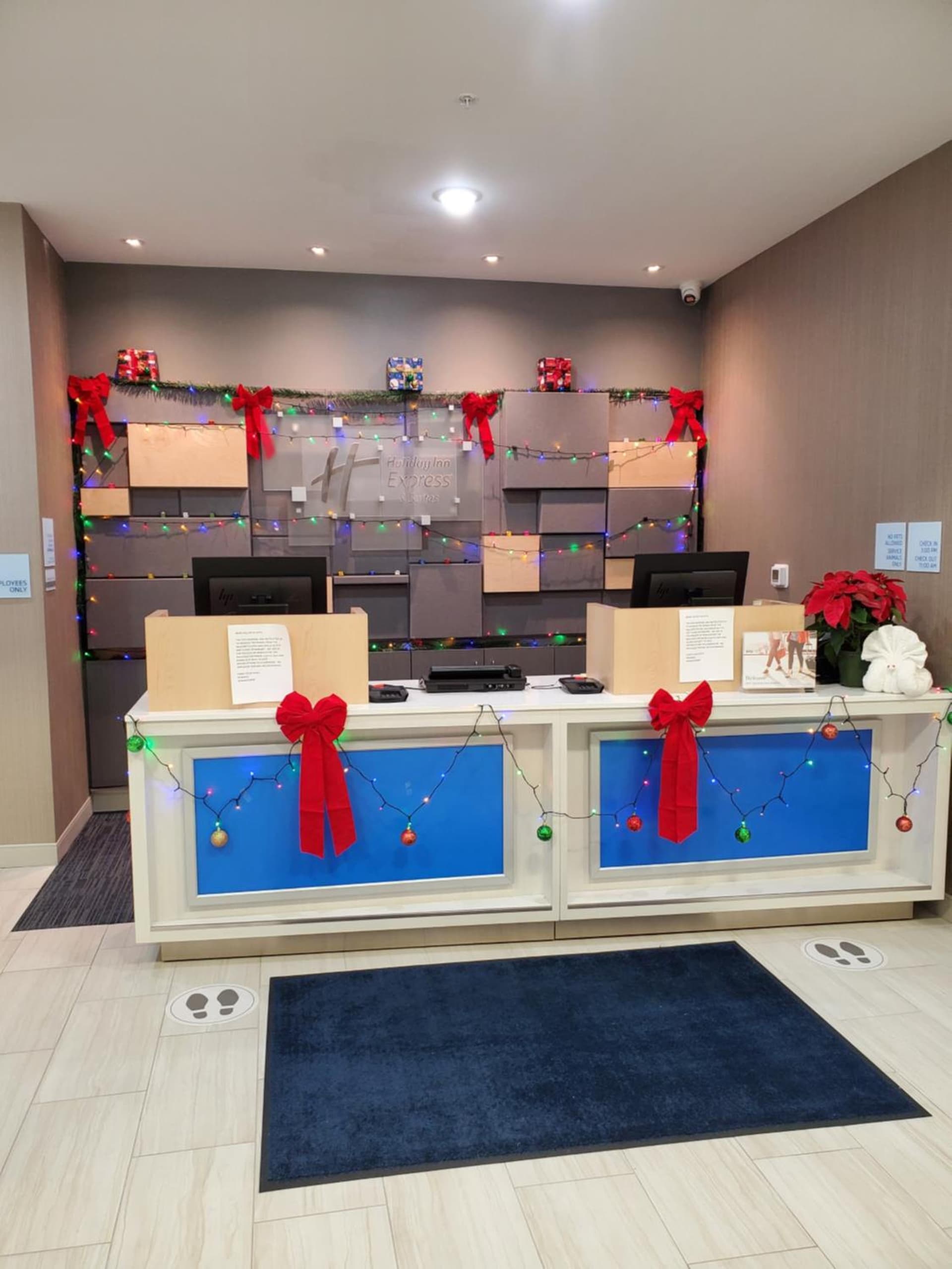 Holiday Inn Express St. Augustine - Vilano Beach by IHG gallery photo in St. Augustine, FL — image 59
