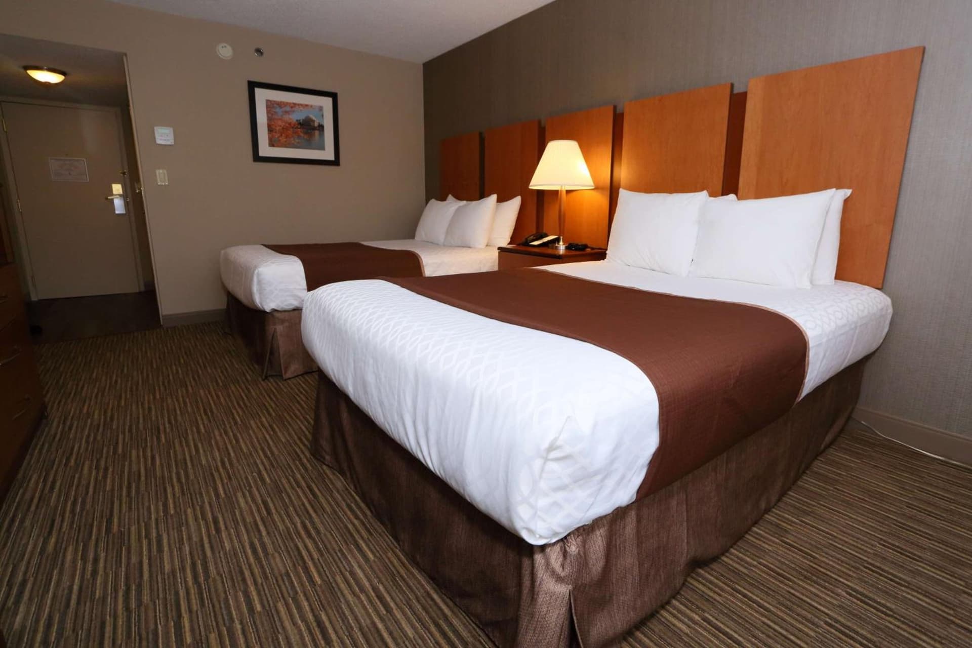 Best Western La Plata Inn gallery photo in La Plata, MD — image 22