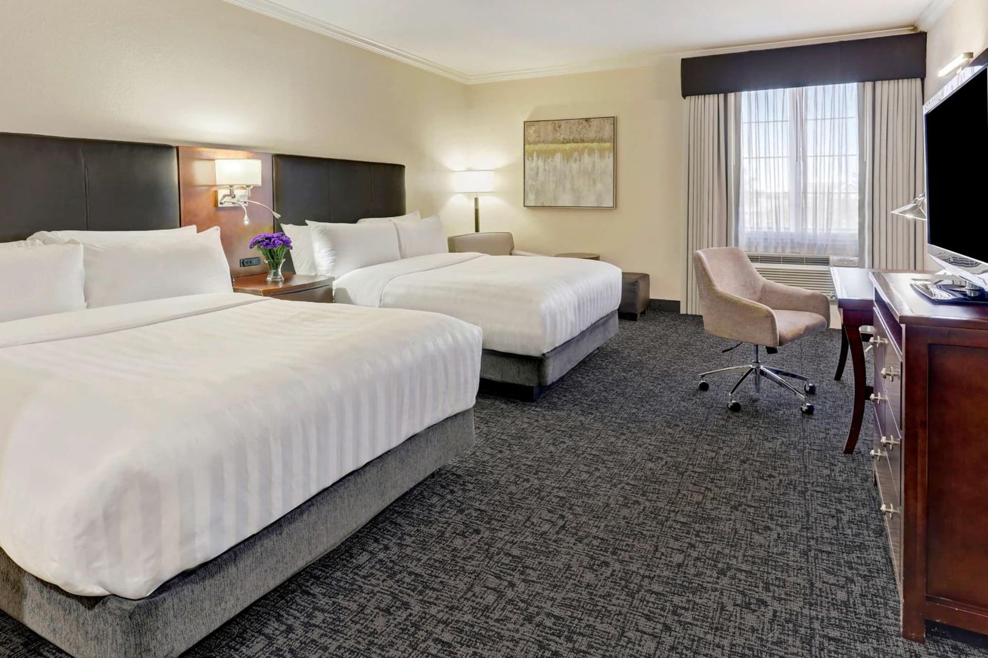 Best Western Plus Downtown Inn & Suites gallery photo in Houston, TX — image 8
