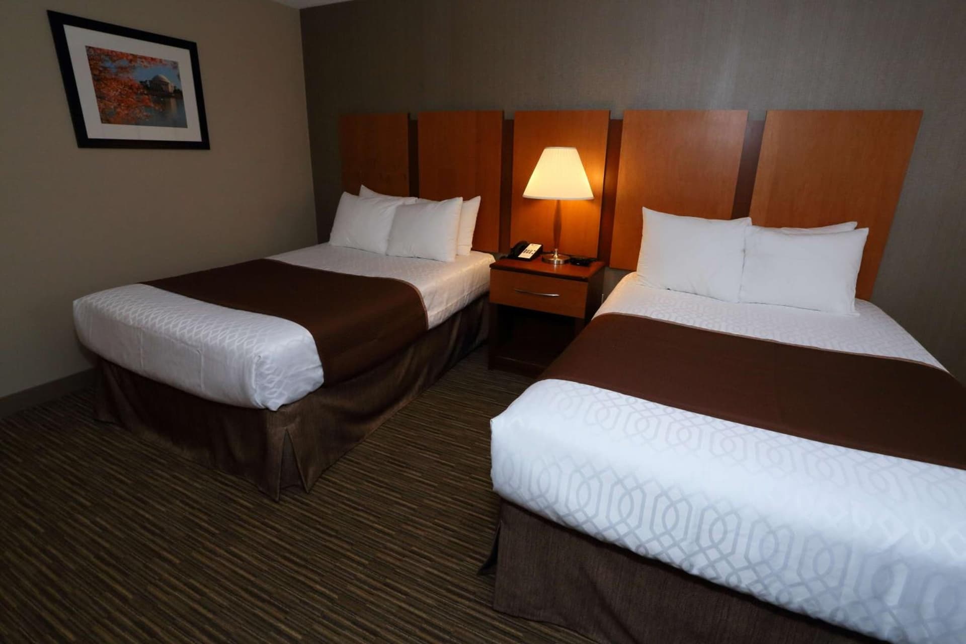 Best Western La Plata Inn gallery photo in La Plata, MD — image 24