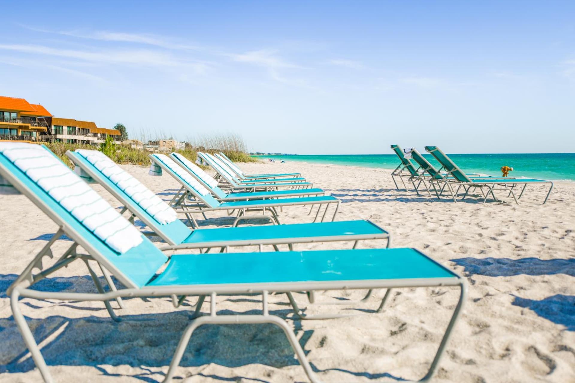 Anna Maria Beach Resort gallery photo in Holmes Beach, FL — image 109
