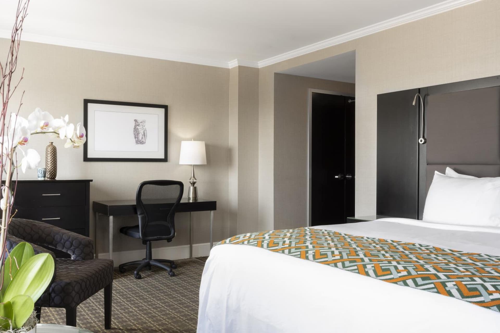 voco The Tiger Hotel, Columbia, MO by IHG gallery photo in Columbia, MO — image 33