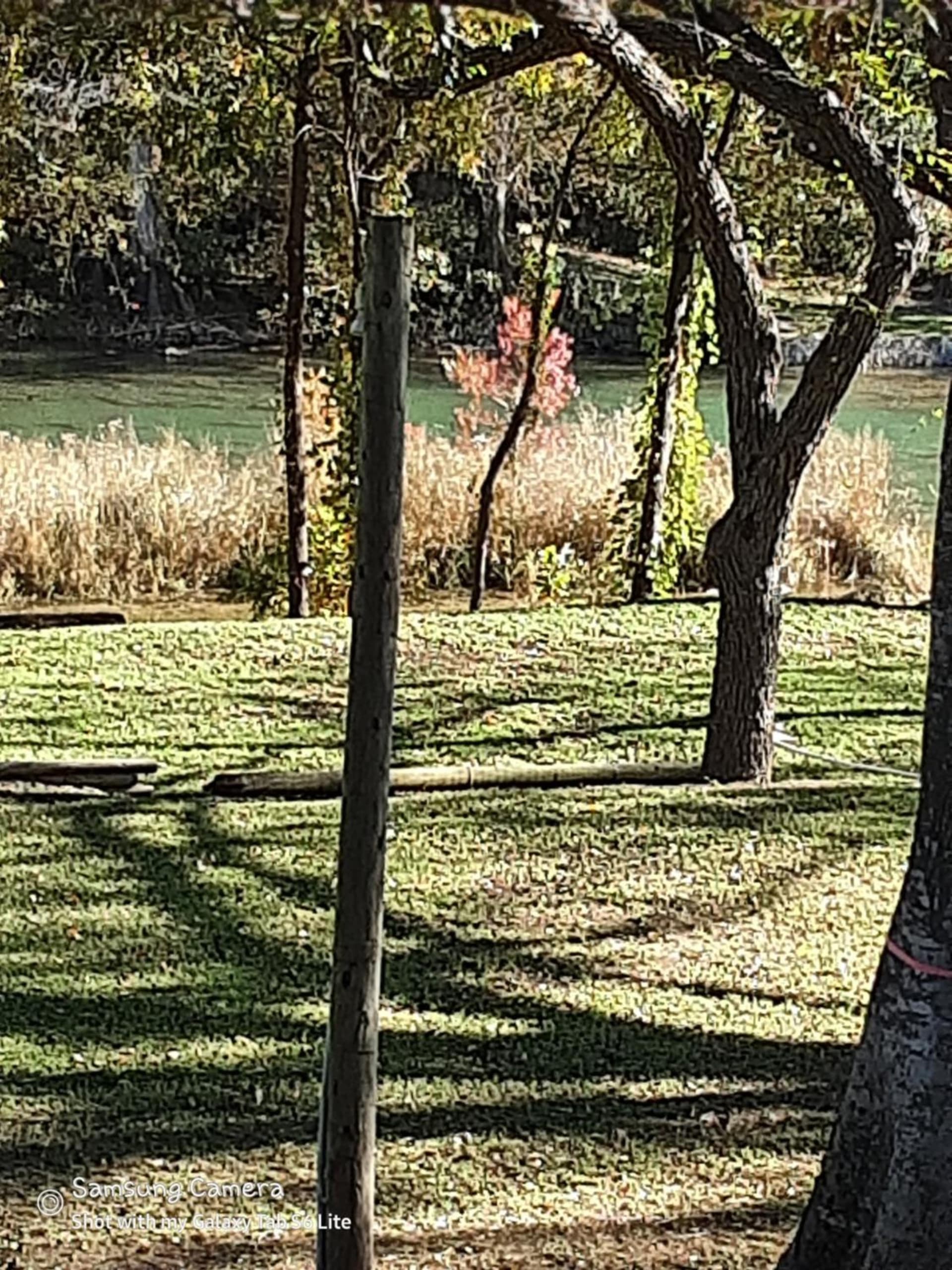 Horseshoe Riverside Lodge gallery photo in Canyon Lake, TX — image 22