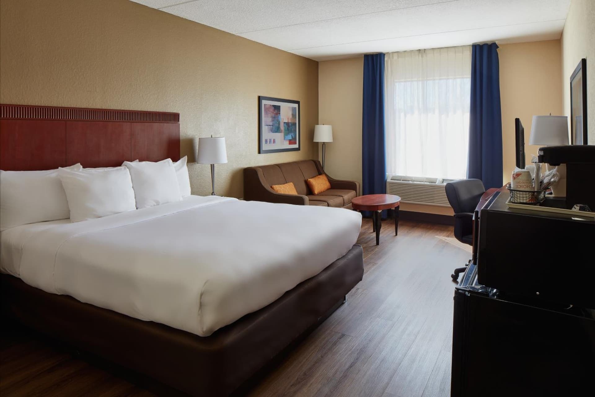 Comfort Suites Outlet Center gallery photo in Asheville, NC — image 8
