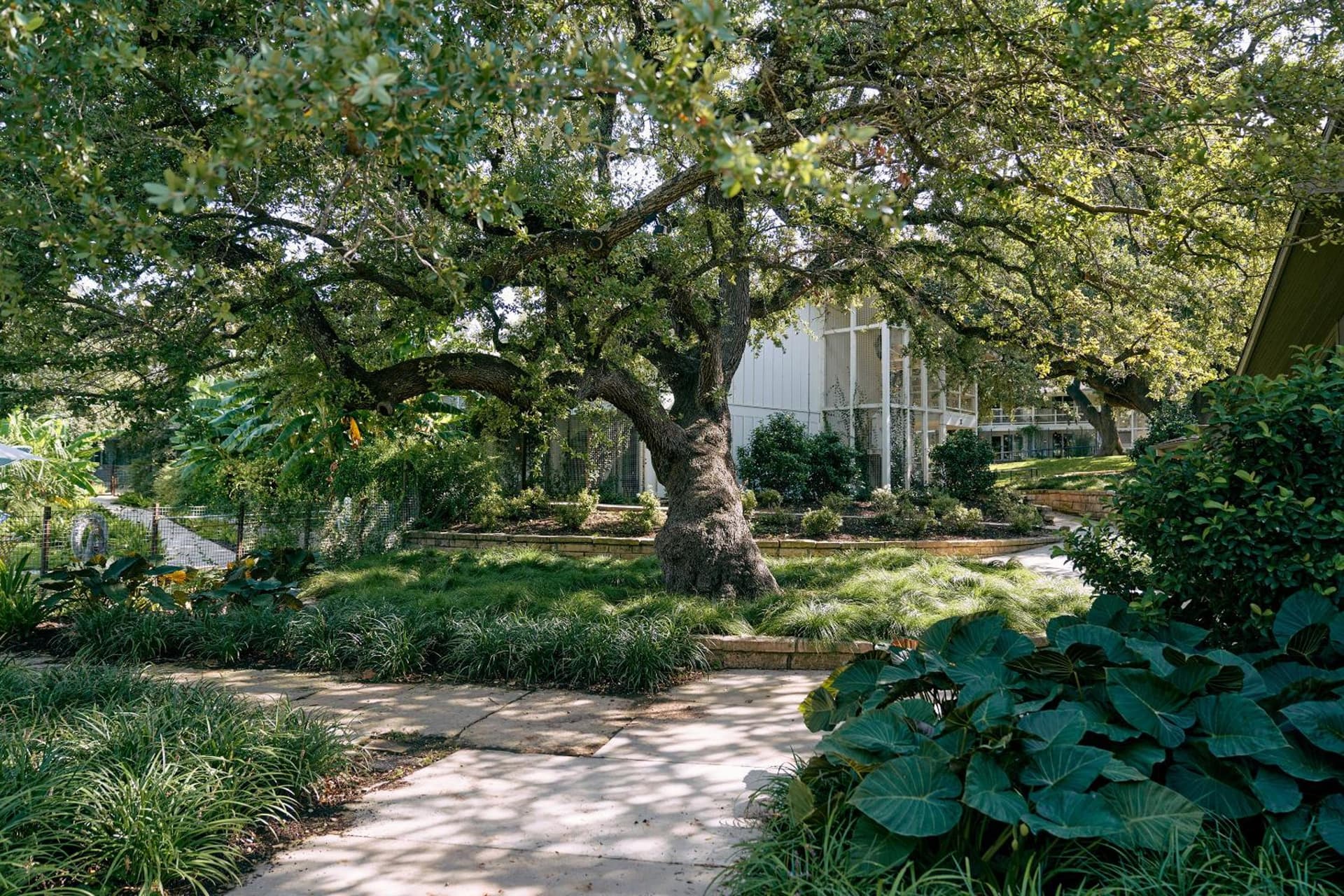 Stagecoach Inn gallery photo in Salado, TX — image 13
