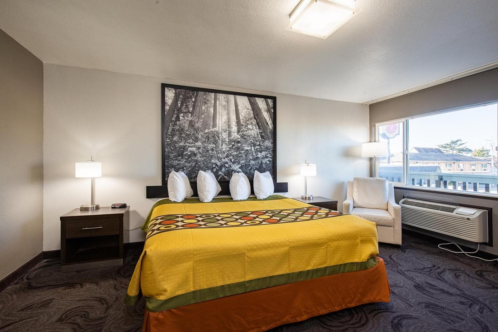 Super 8 by Wyndham Eureka property views in Eureka, CA — gallery photo 3