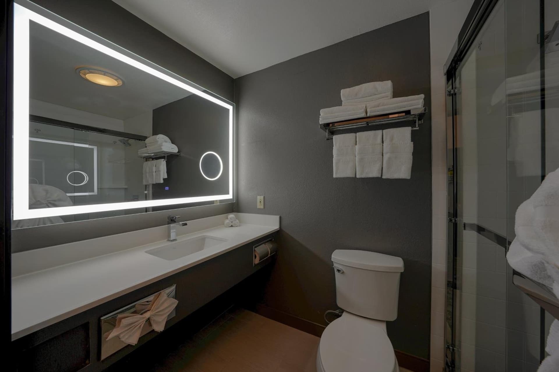 Holiday Inn Express & Suites Santa Clara - Silicon Valley by IHG gallery photo in Santa Clara, CA — image 63