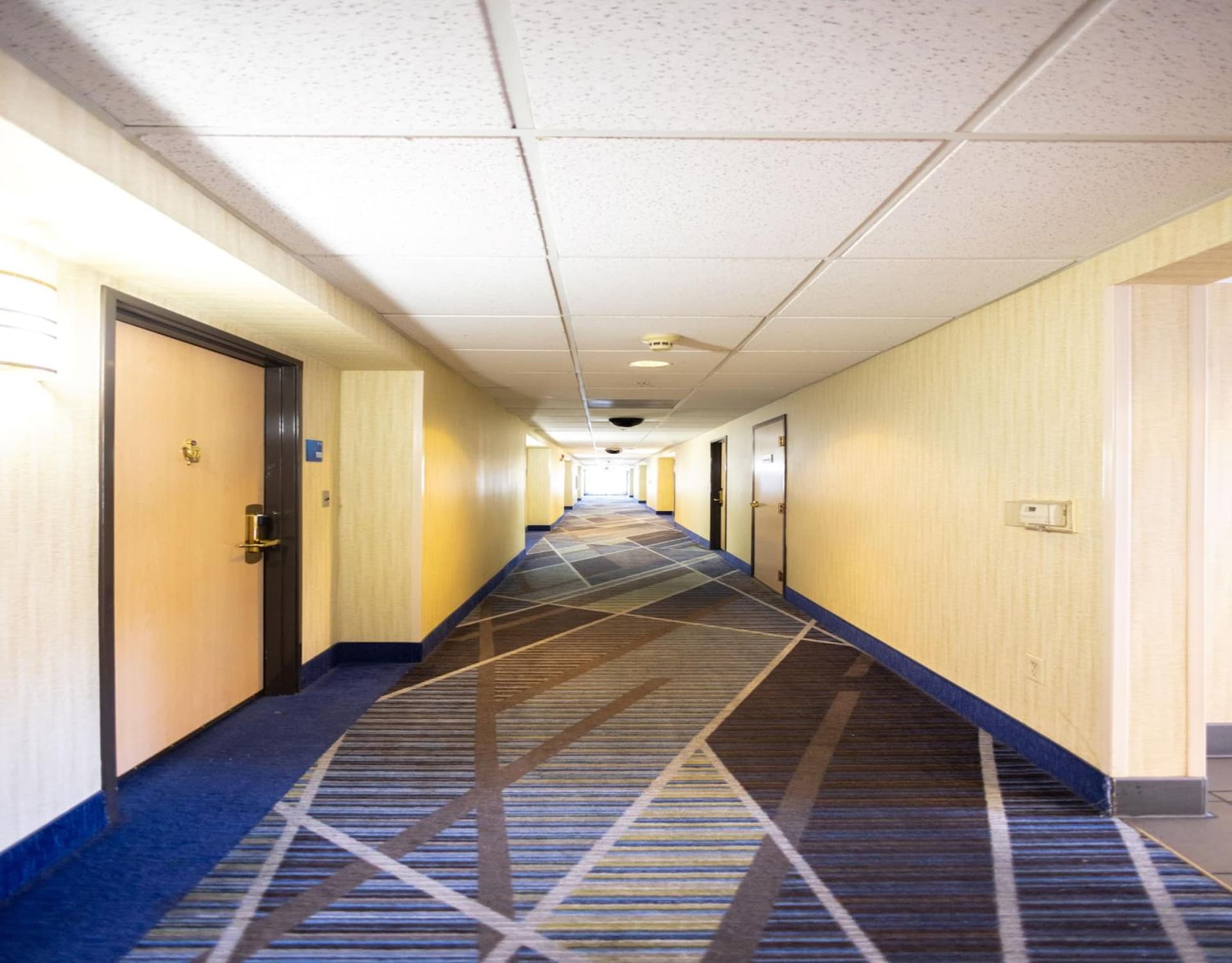 Holiday Inn Express Berkeley by IHG gallery photo in Berkeley, CA — image 93