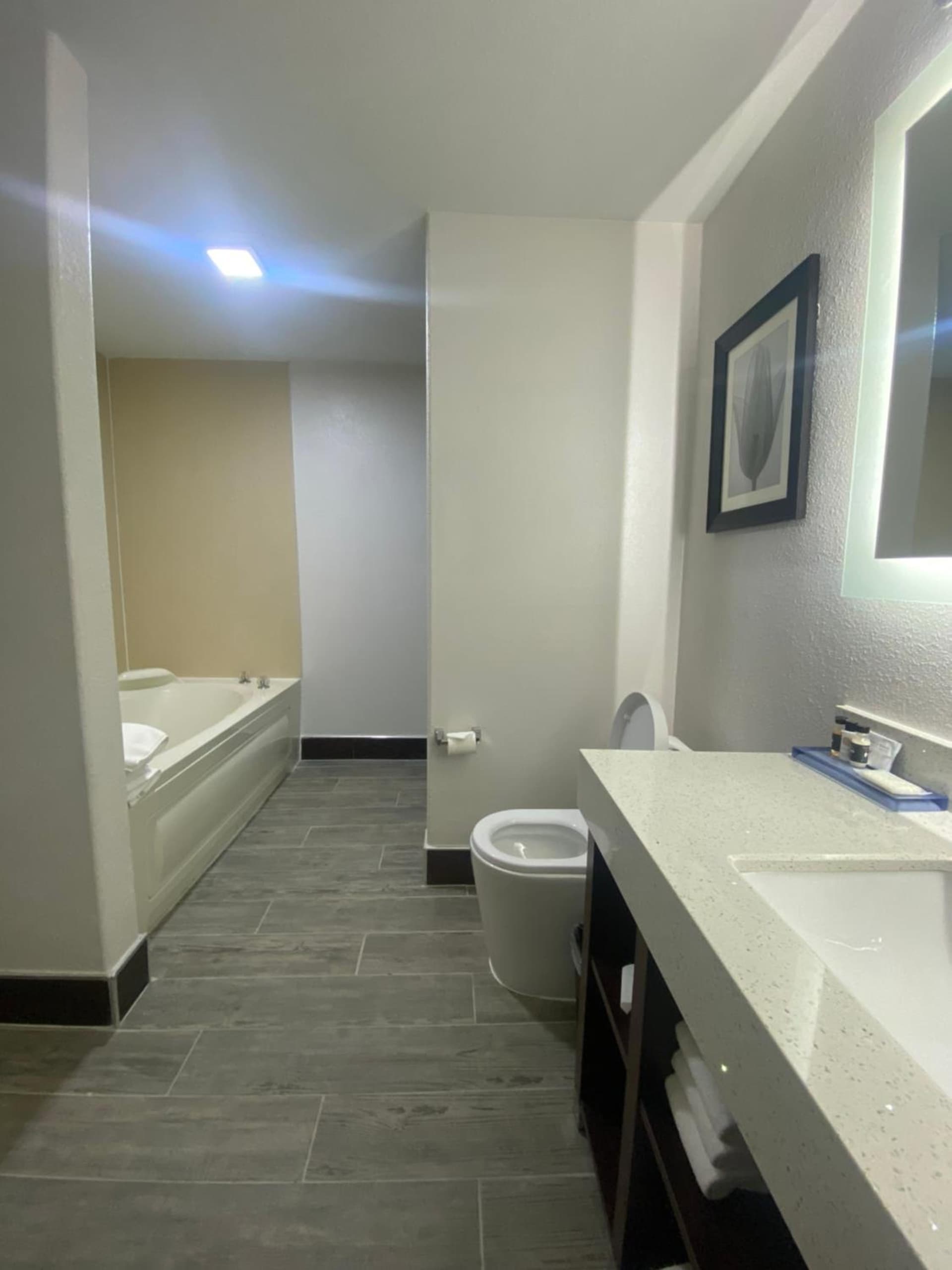 The Leo Collection Detroit, an Ascend Collection Hotel gallery photo in Lincoln Park, MI — image 27